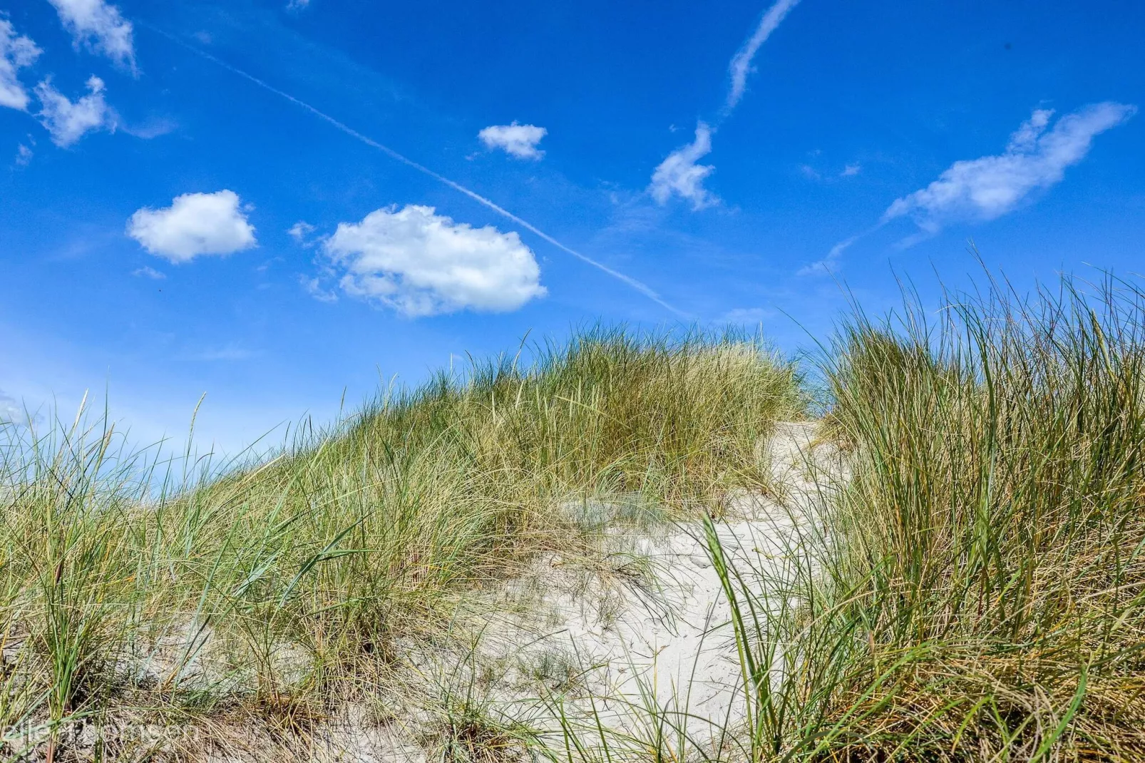 8 persoons vakantie huis in Ålbæk-By Traum-Niet-getagd