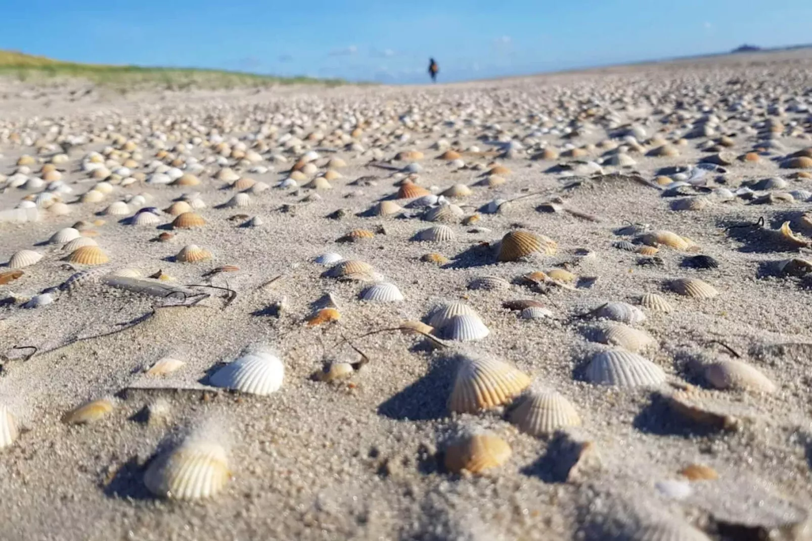 18 persoons vakantie huis in Rømø-By Traum