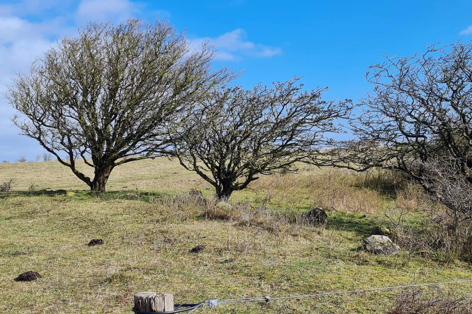 6 persoons vakantie huis in Humble-By Traum-Niet-getagd