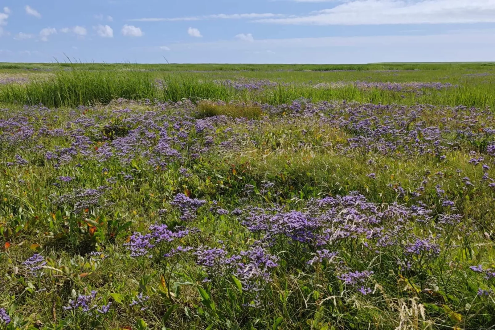 4 persoons vakantie huis in Bramming-By Traum-Niet-getagd