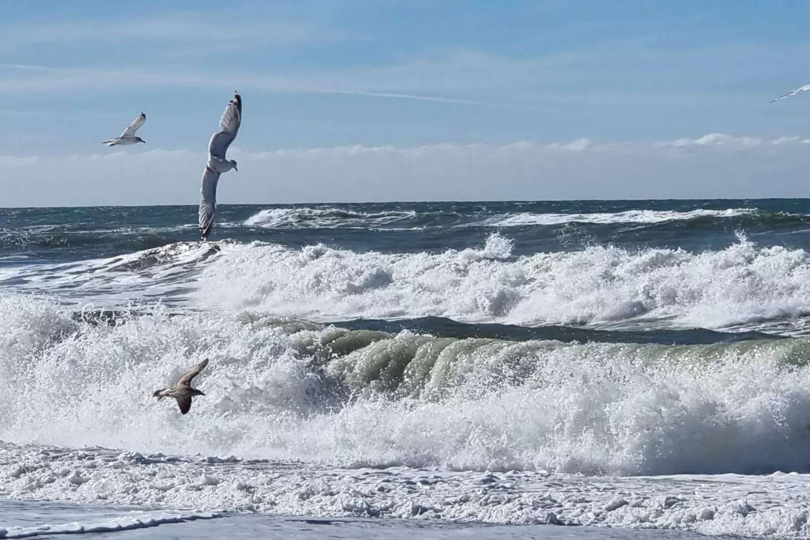 9 persoons vakantie huis in Harboøre-By Traum-Waterzicht