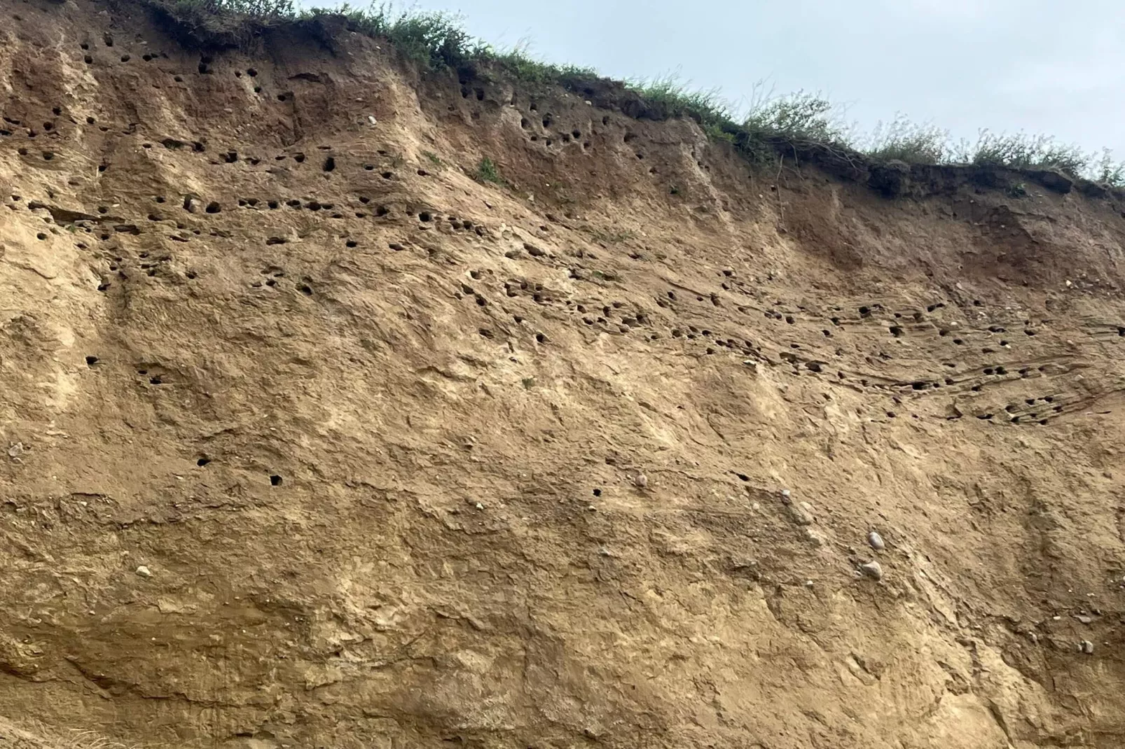 Luxe zwembadvilla in Bagenkop -- By Traum Ferienwohnungen-Niet-getagd