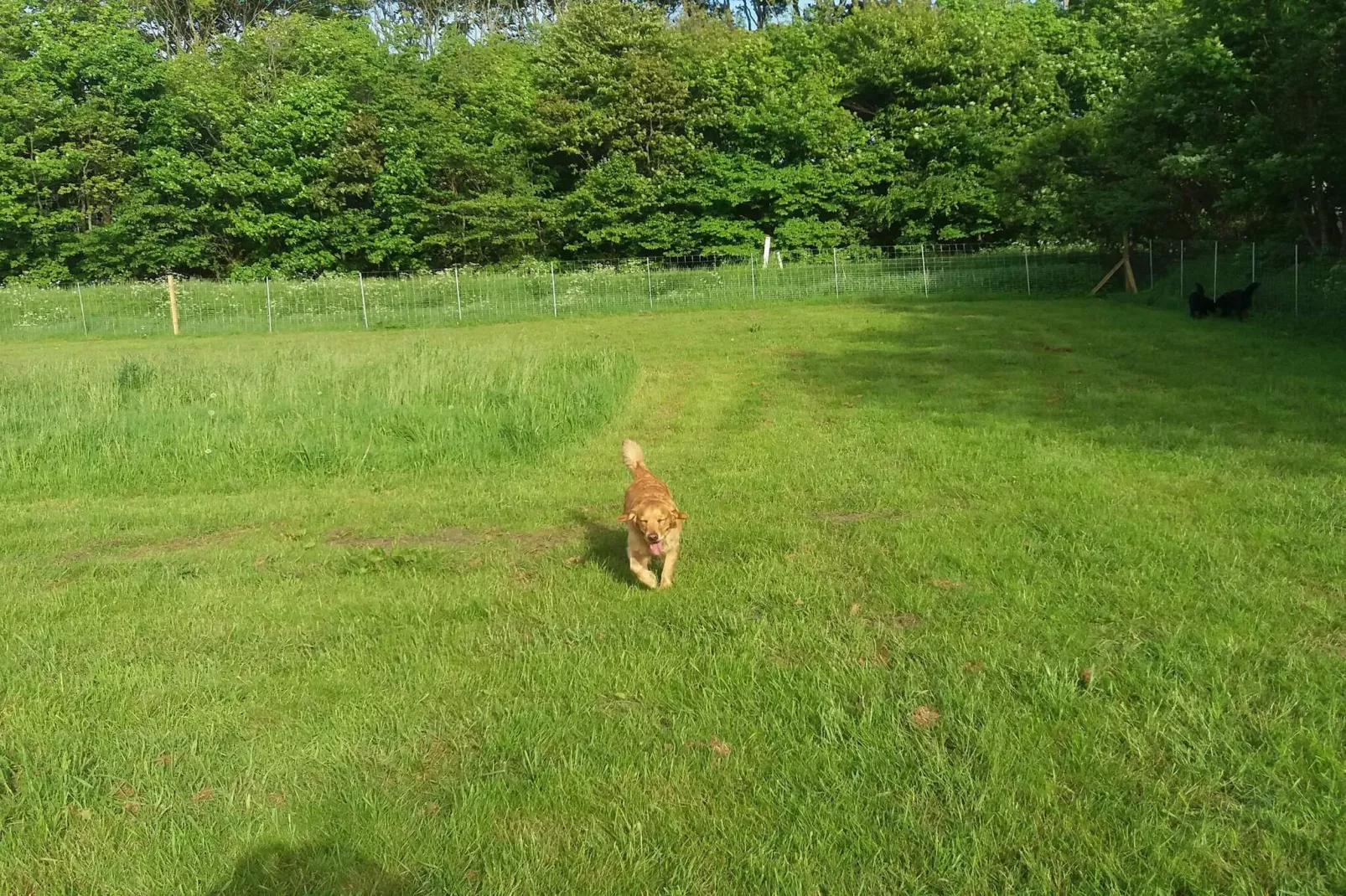 4 persoons vakantie huis in Nibe-By Traum-Niet-getagd