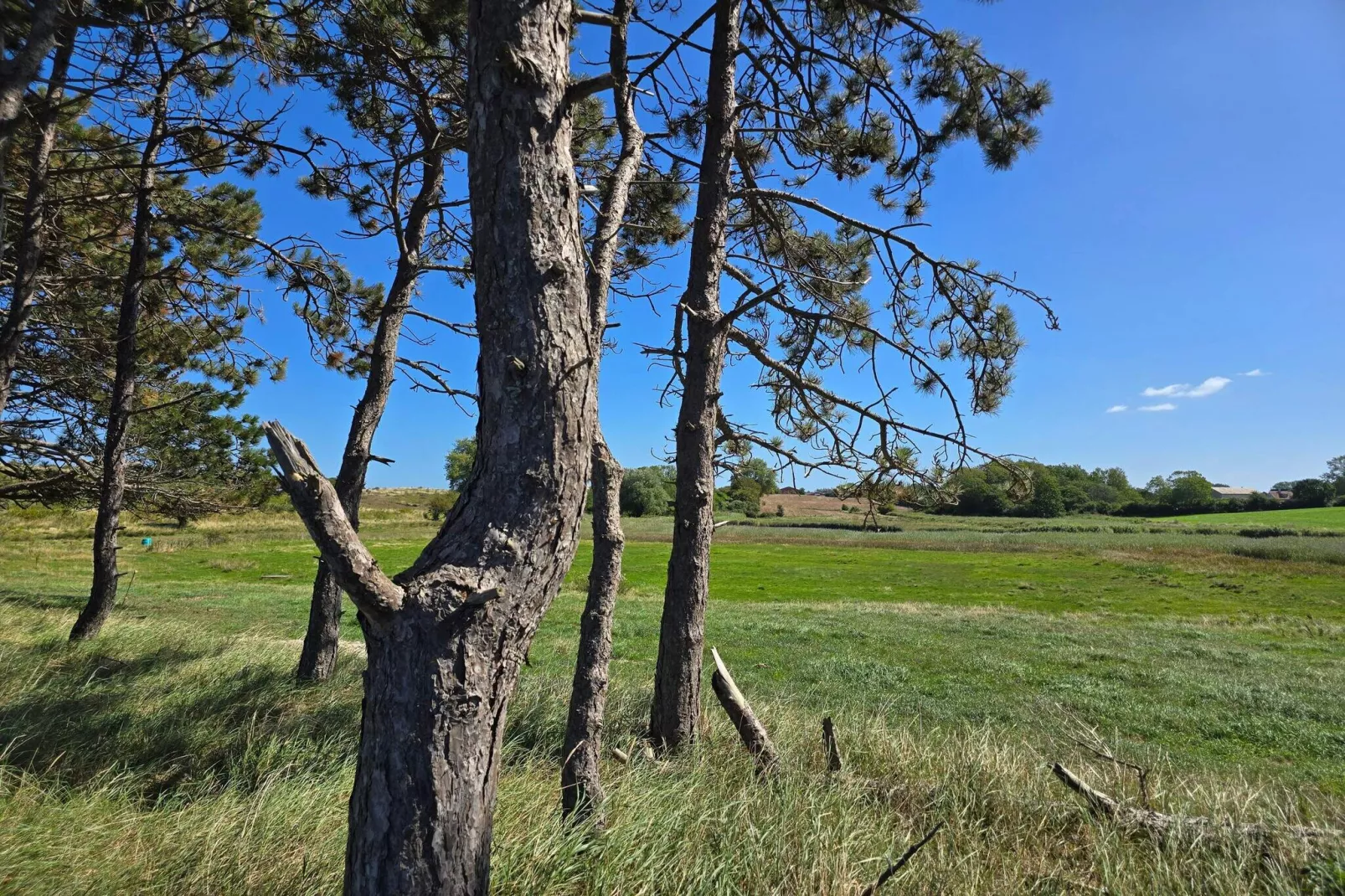 Luxe retraite aan zee -- By Traum Ferienwohnungen