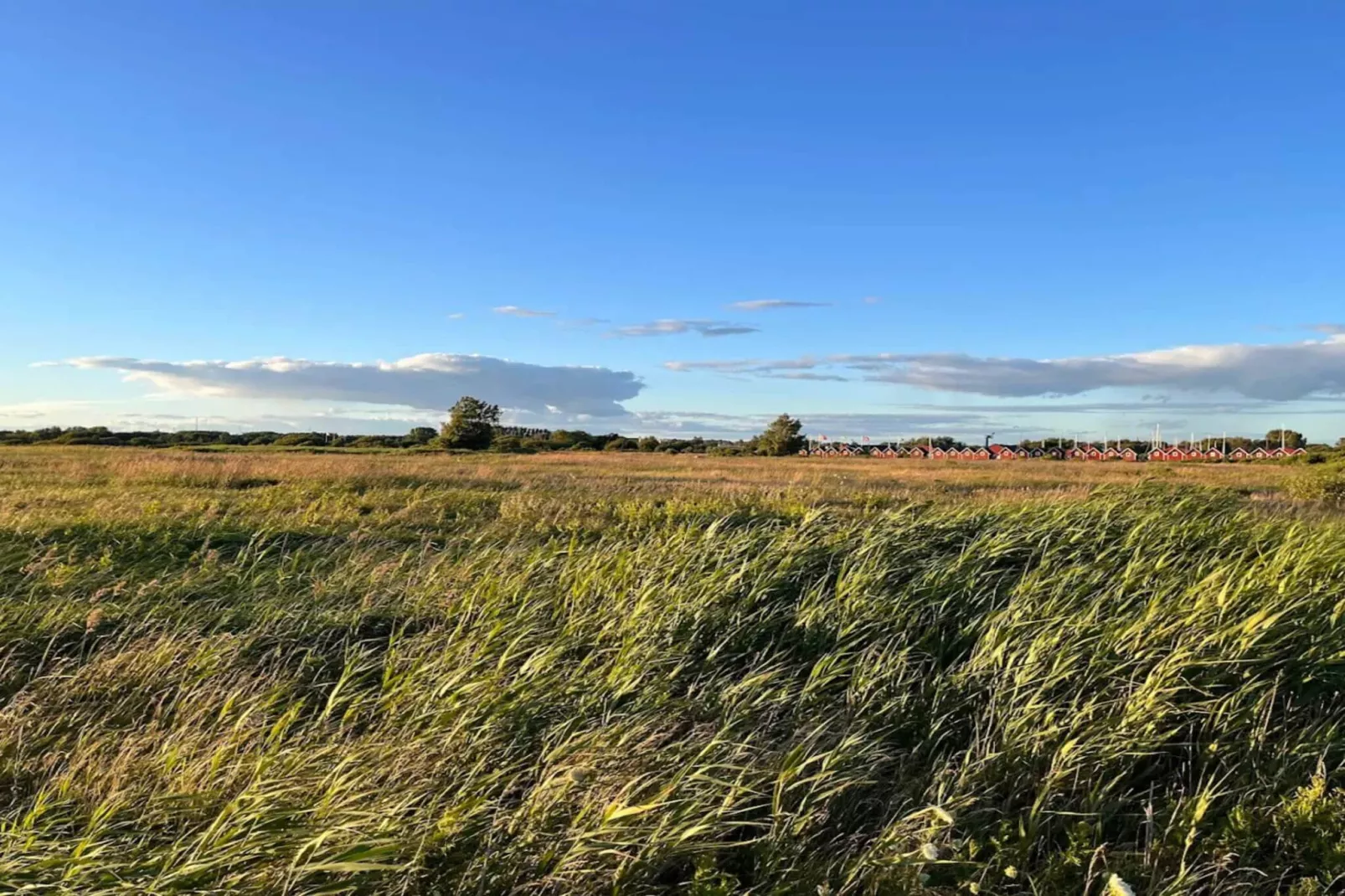 2 persoons vakantie huis in FALKENBERG-By Traum-Niet-getagd