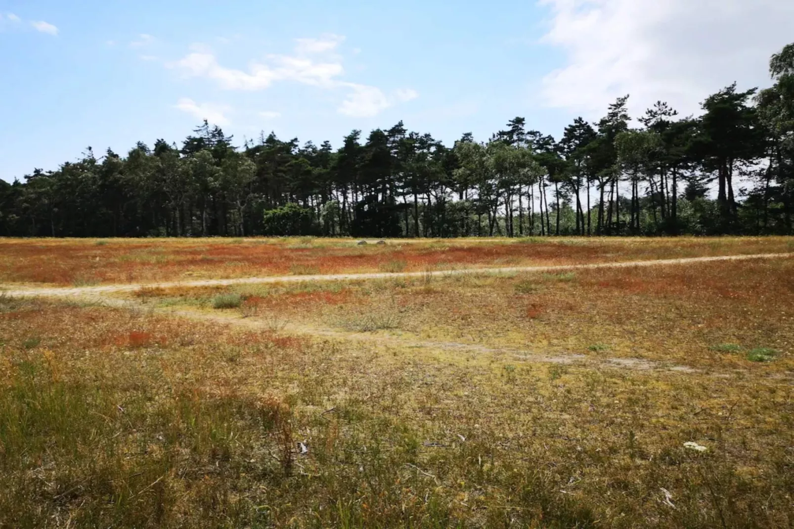 3 room, close to the sea/dike-Niet-getagd