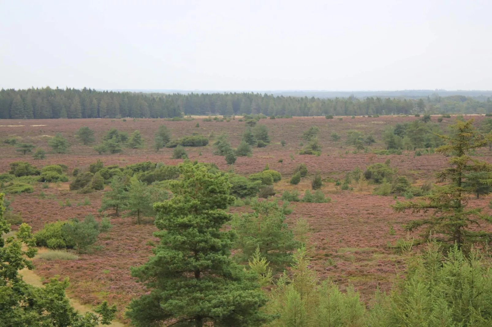 6 persoons vakantie huis in Hovborg-By Traum