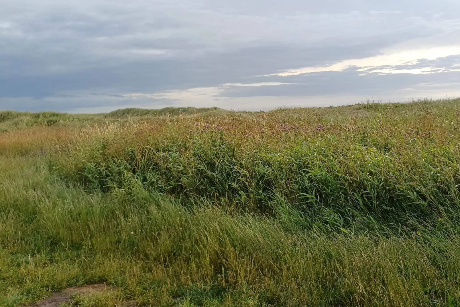 4 persoons vakantie huis in Jerup-By Traum-Niet-getagd