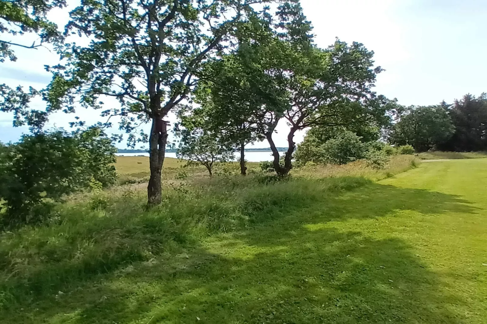 8 persoons vakantie huis in Skals