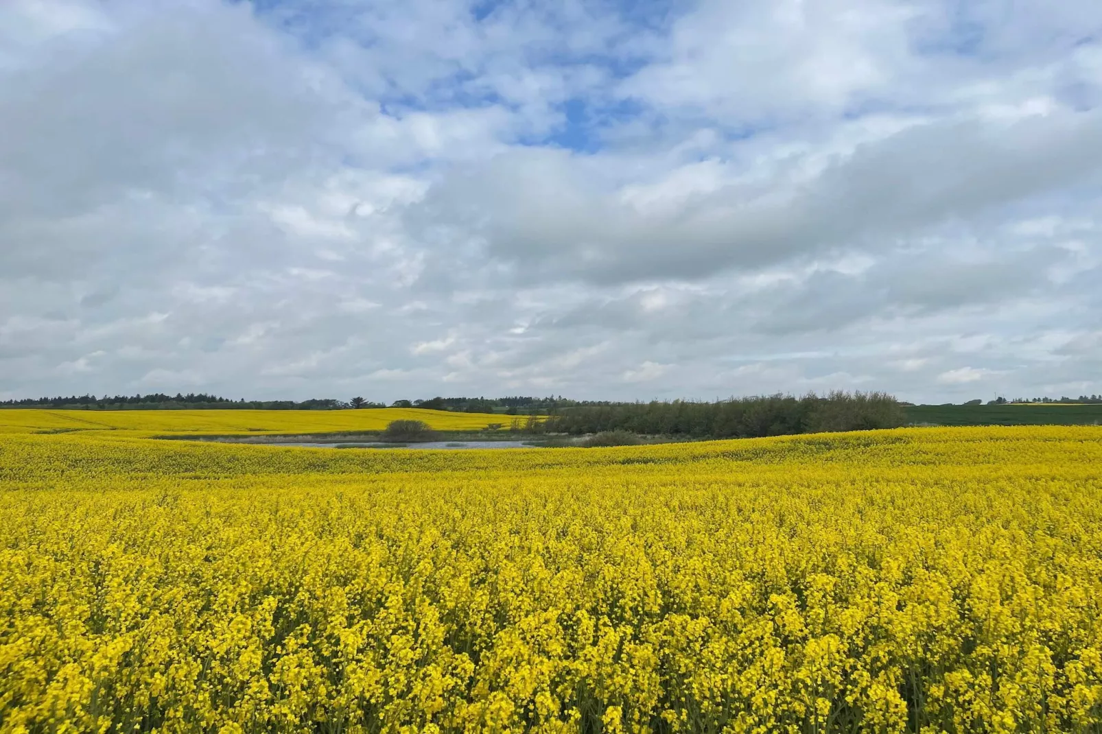 Gezellig toevluchtsoord in Vorupor -- By Traum Ferienwohnungen-Niet-getagd