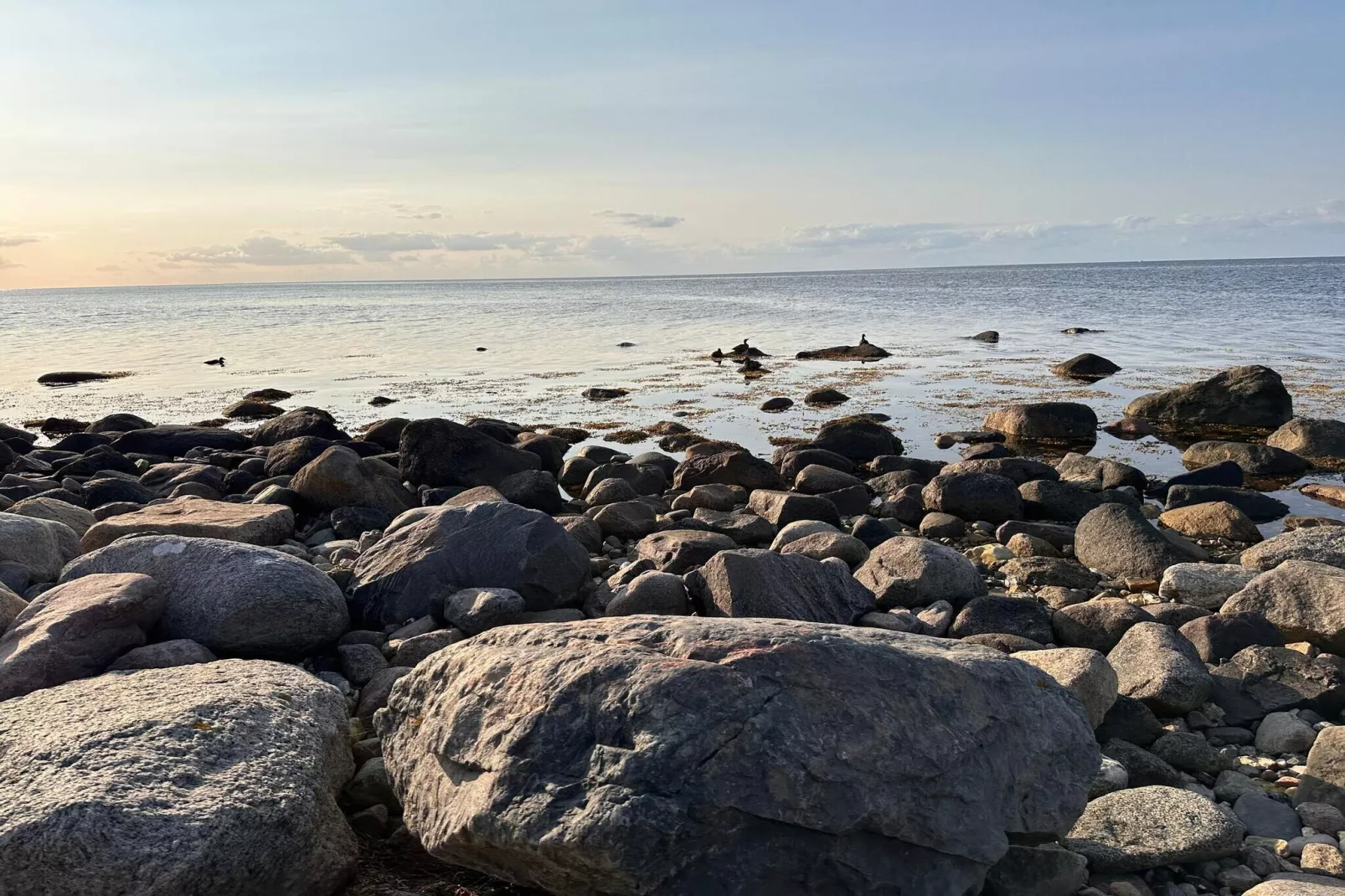 4 persoons vakantie huis in Martofte-By Traum-Waterzicht