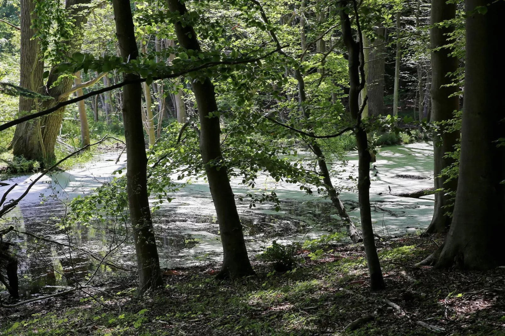 Luxe zwembadvilla in Lohals -- By Traum Ferienwohnungen-Niet-getagd