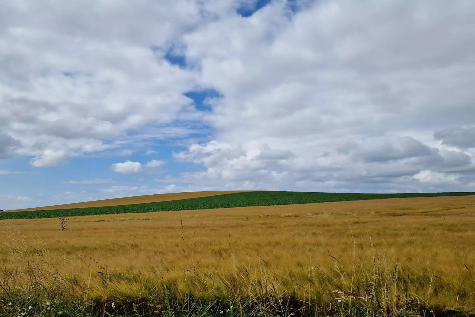 4 persoons vakantie huis in Stege-By Traum