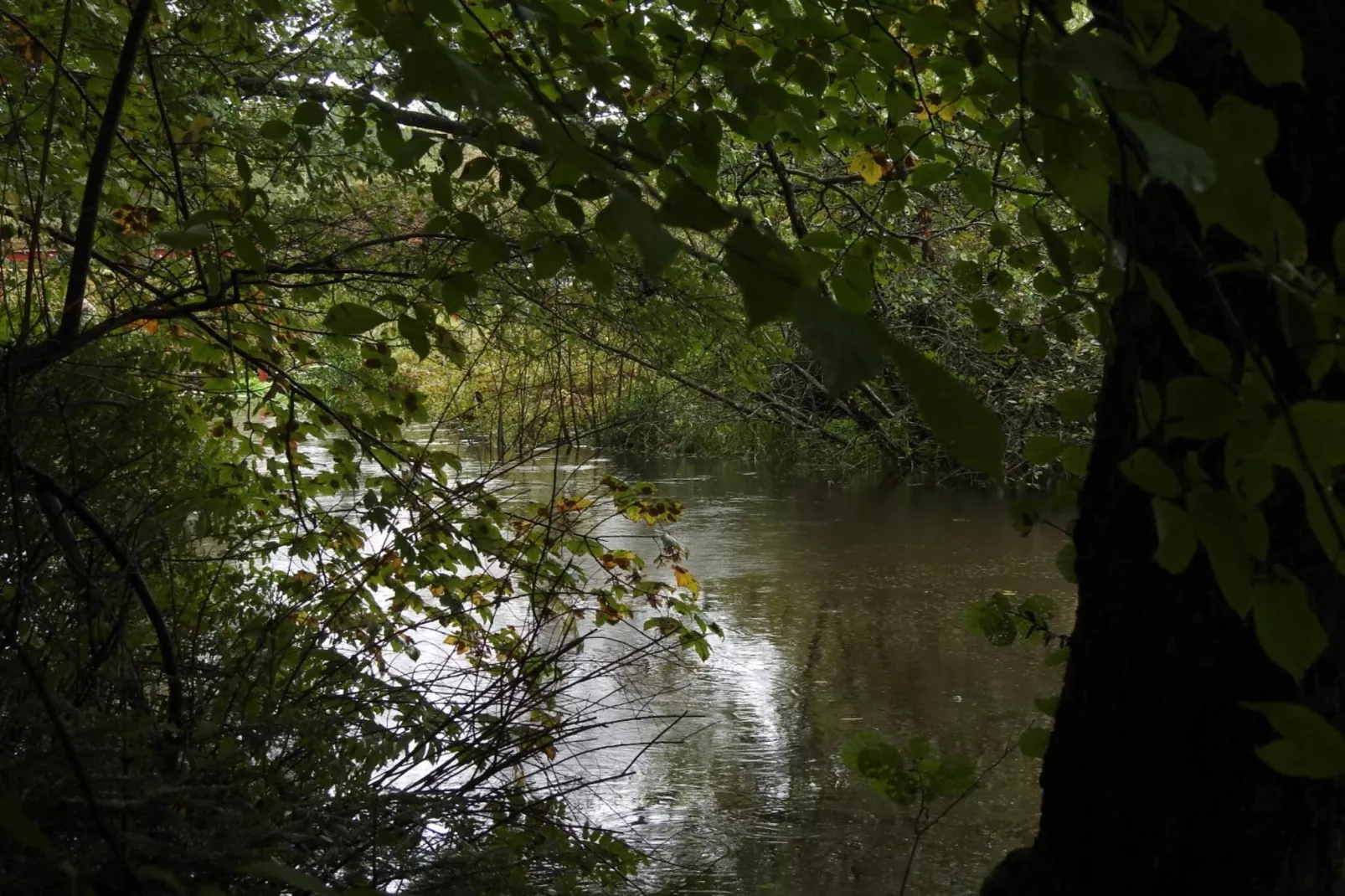 5 persoons vakantie huis in Strandby-By Traum