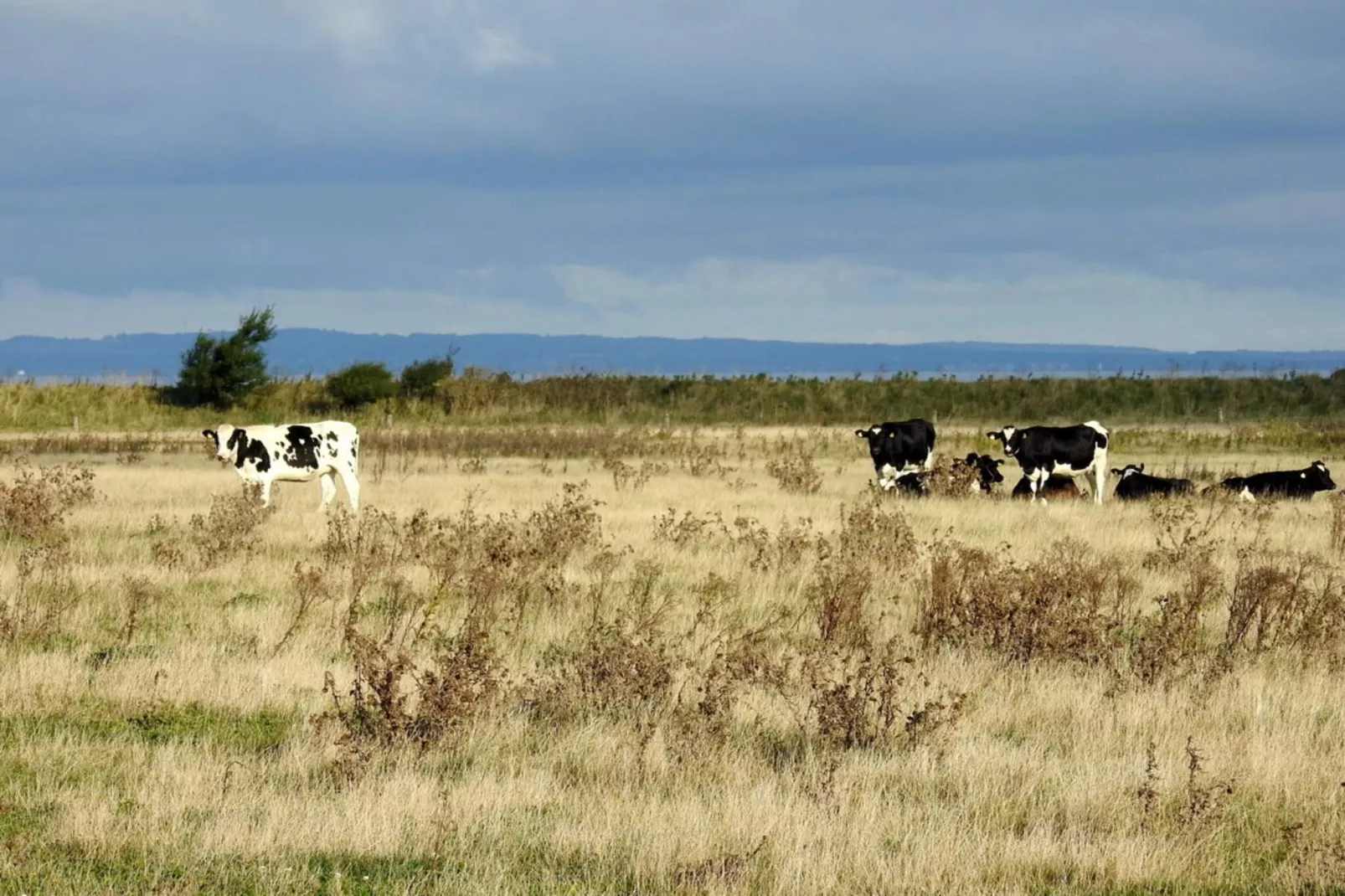 4 persoons vakantie huis in Bogense-By Traum-Niet-getagd