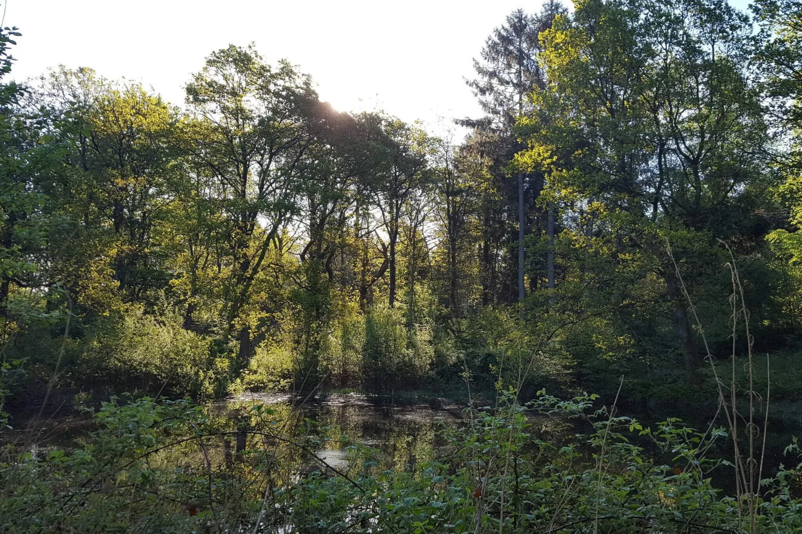 Gezinsvriendelijk huis aan het strand