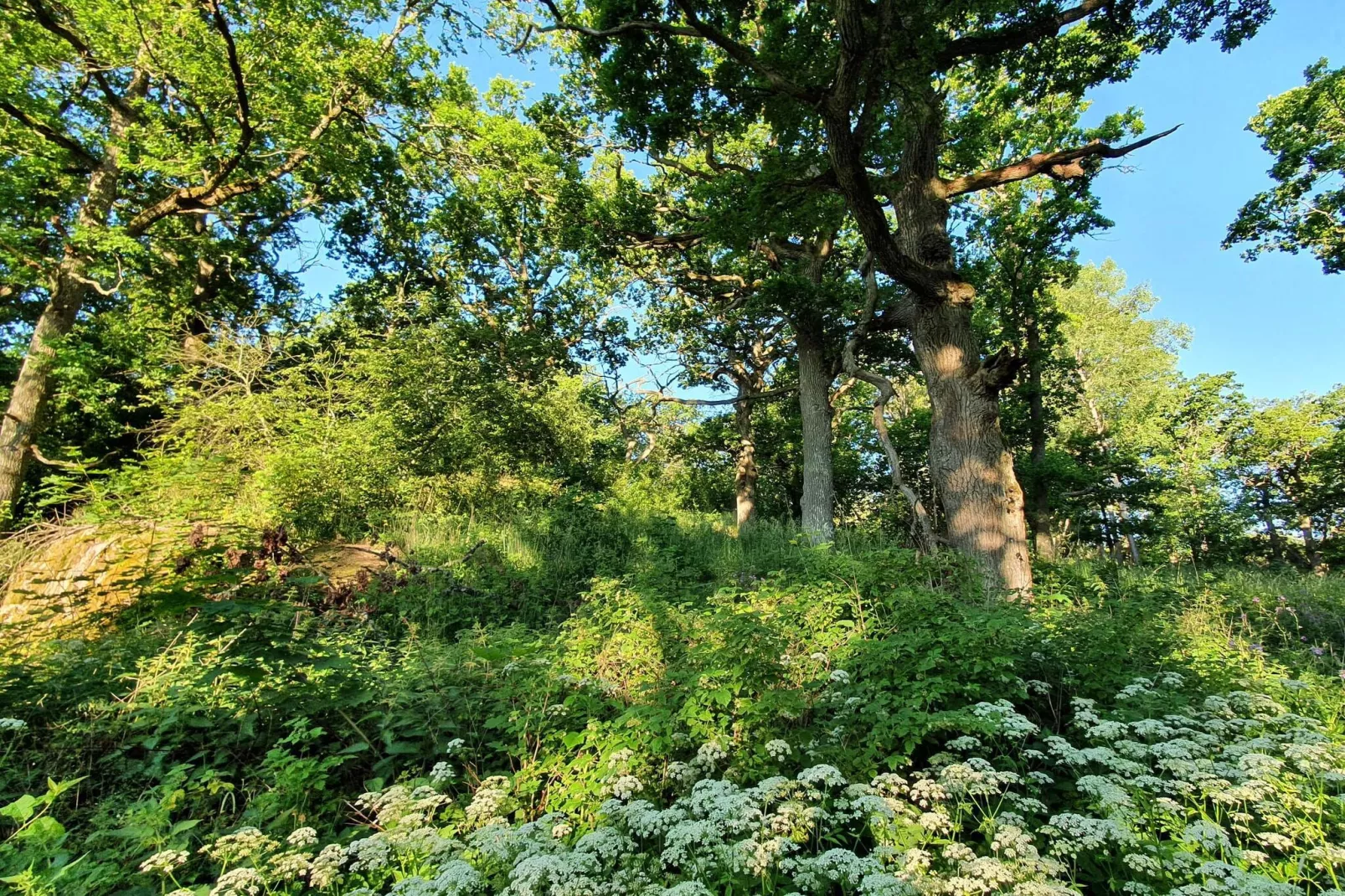 4 persoons vakantie huis in TORSHÄLLA-By Traum-Niet-getagd