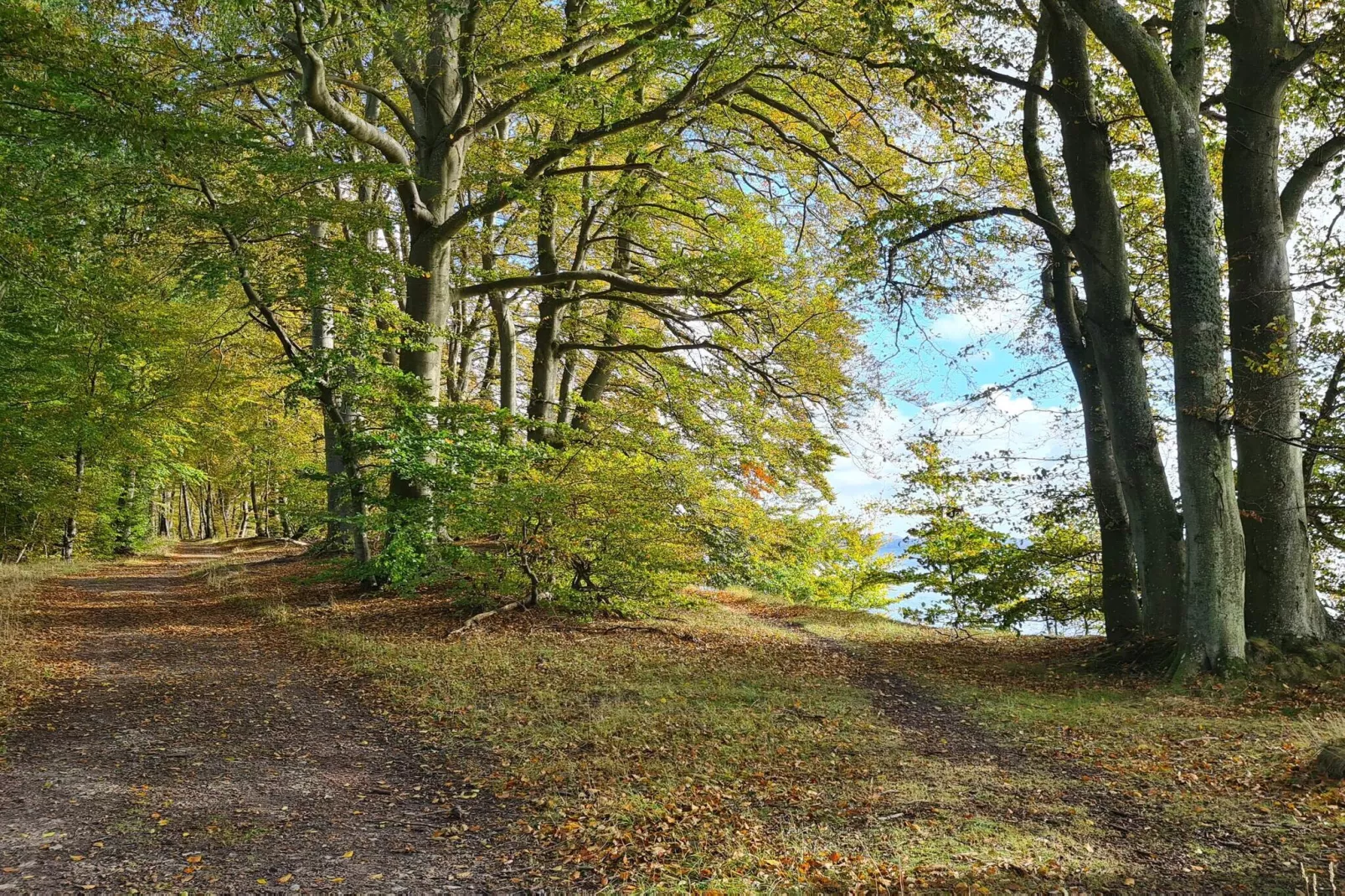 4 persoons vakantie huis in Faxe Ladeplads-Niet-getagd