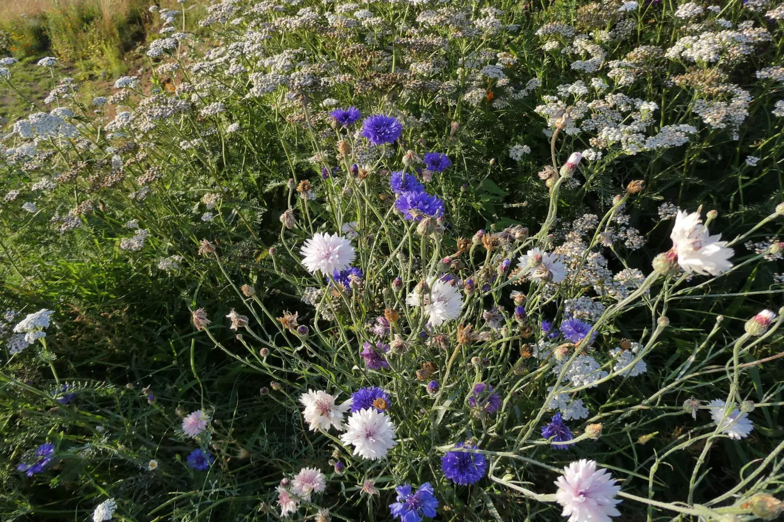 Modern toevluchtsoord met uitzicht -- By Traum Ferienwohnungen-Niet-getagd