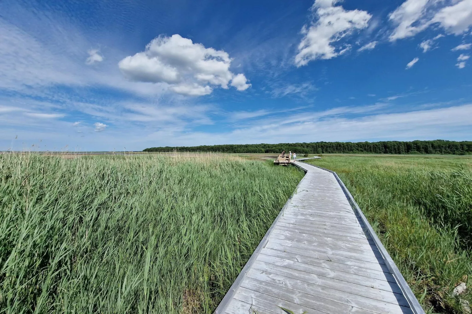 4 persoons vakantie huis in Mörbylånga-By Traum-Niet-getagd