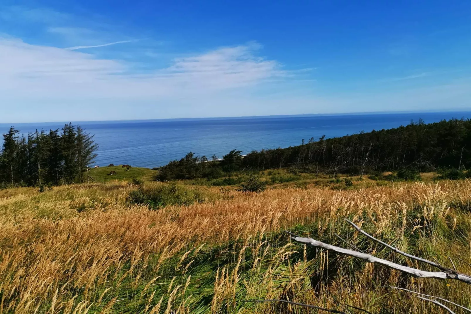 10 persoons vakantie huis in Fjerritslev-By Traum-Niet-getagd