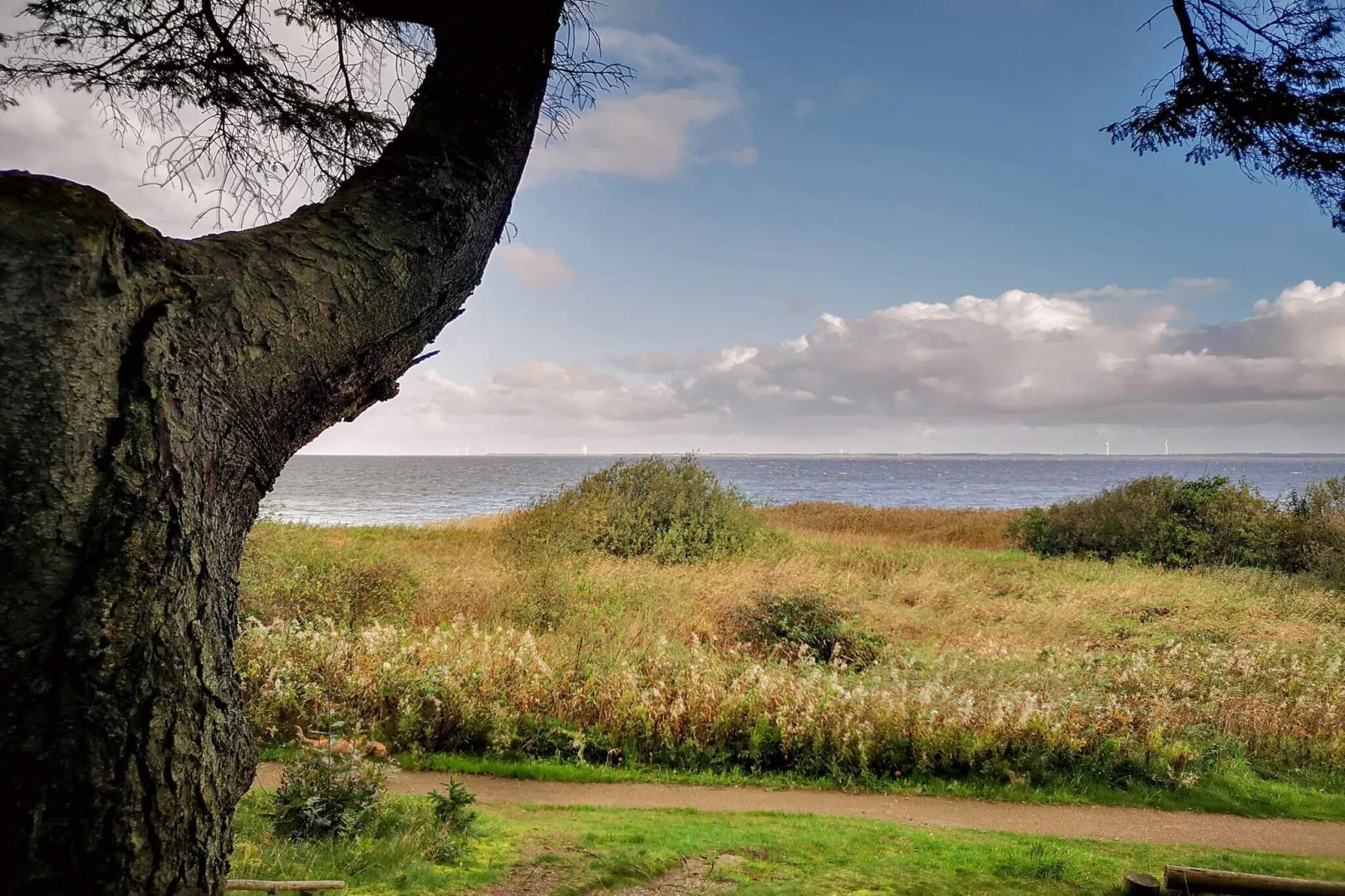 6 persoons vakantie huis in Ulfborg