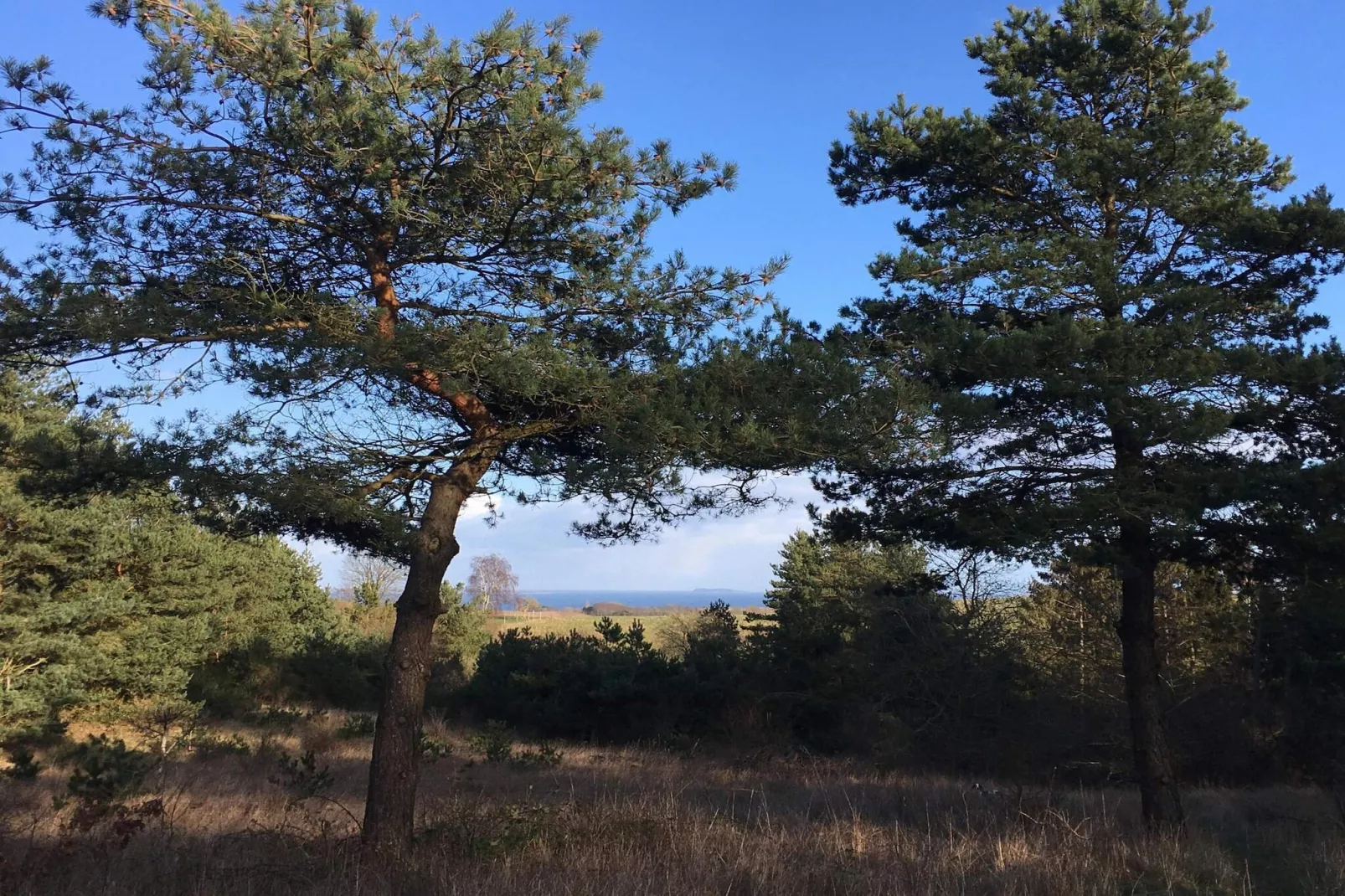 7 persoons vakantie huis in Knebel-By Traum