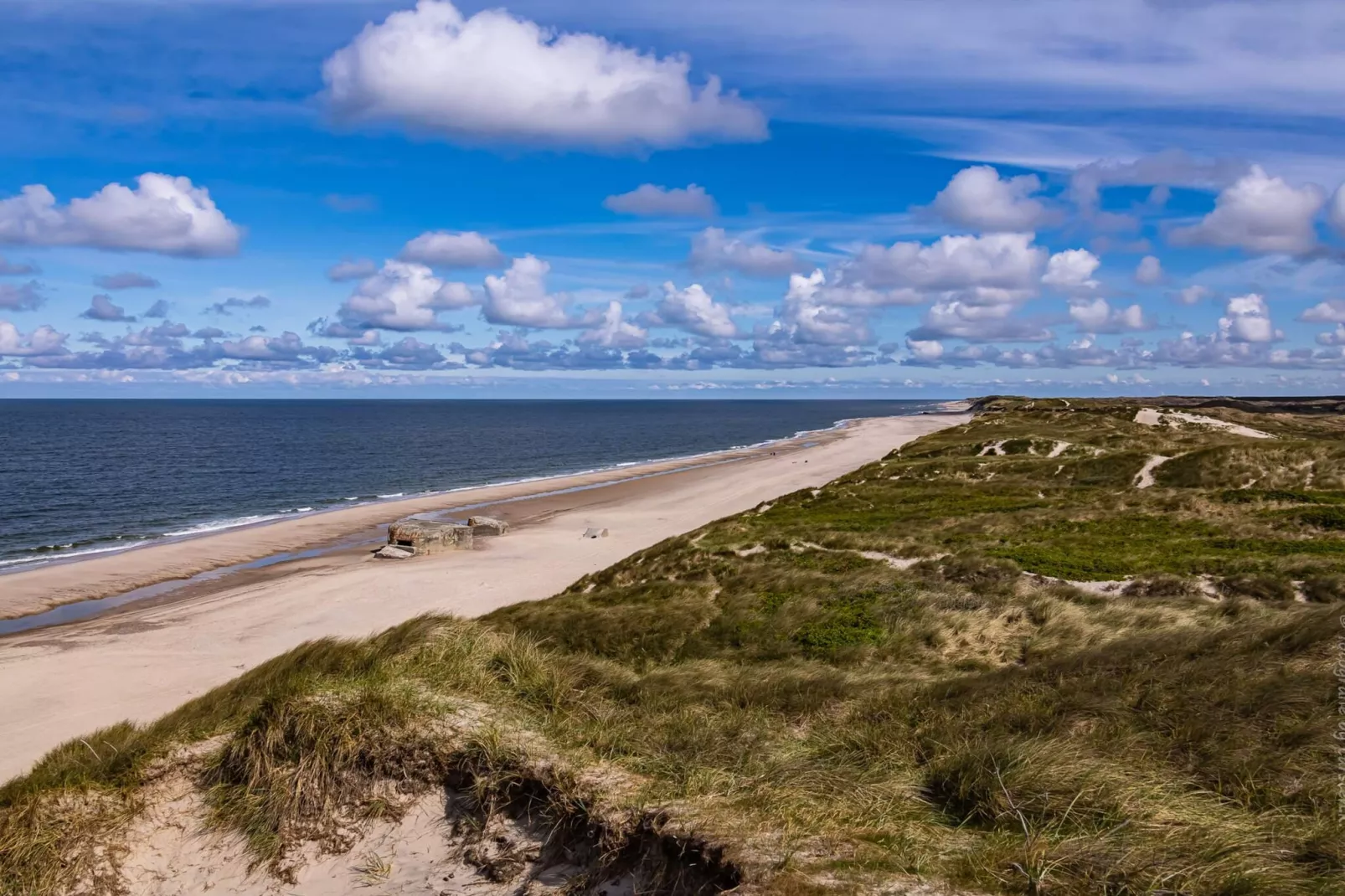 12 persoons vakantie huis in Ulfborg-By Traum