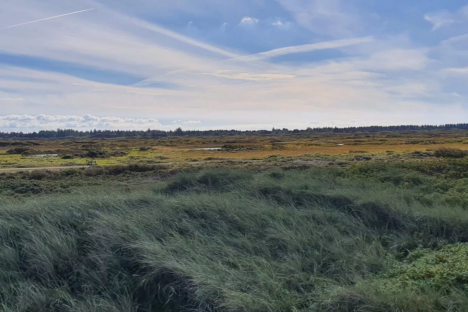 10 persoons vakantie huis in Fjerritslev-By Traum-Niet-getagd