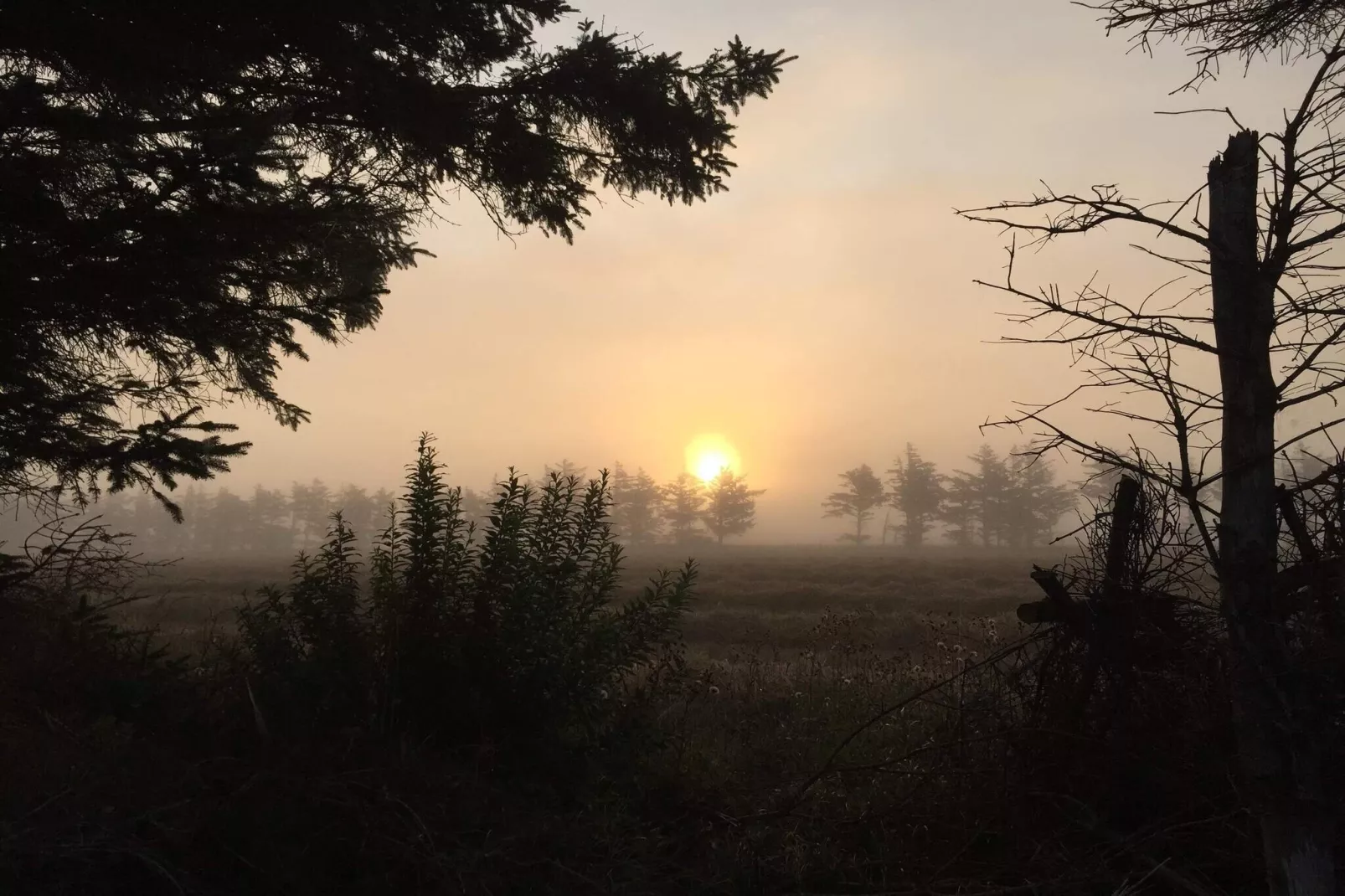 6 persoons vakantie huis in Ulfborg-By Traum-Niet-getagd