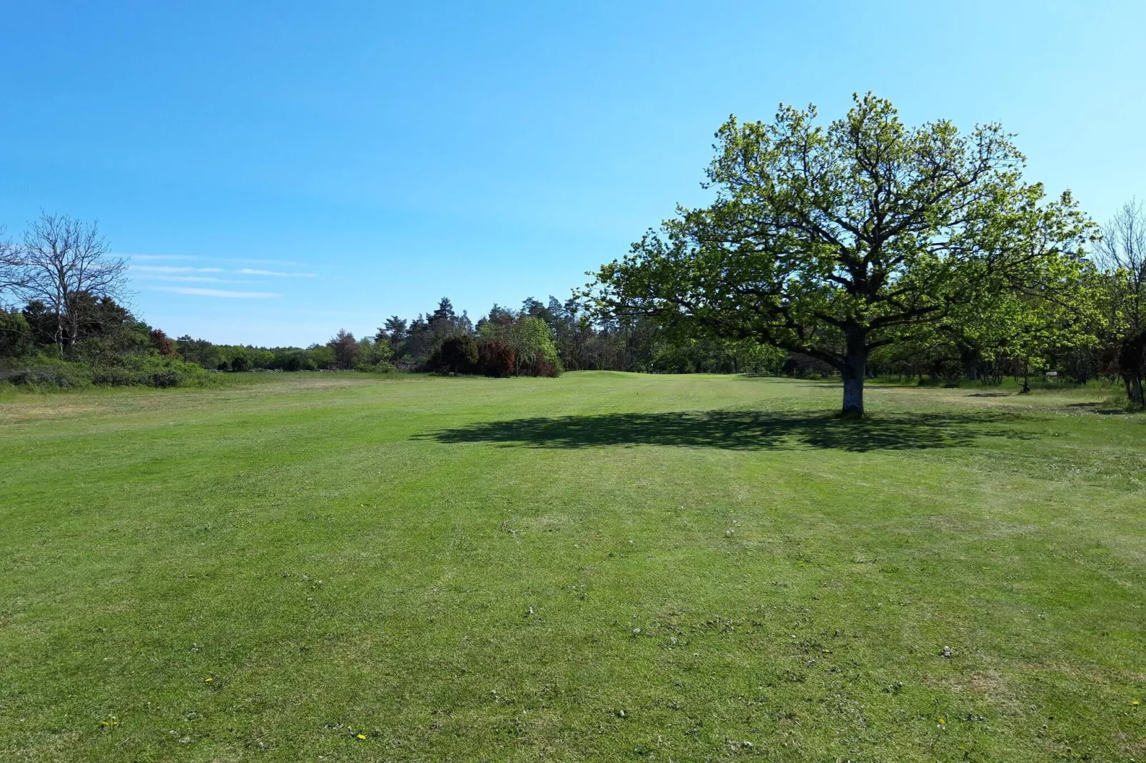 6 persoons vakantie huis in Löttorp-Niet-getagd