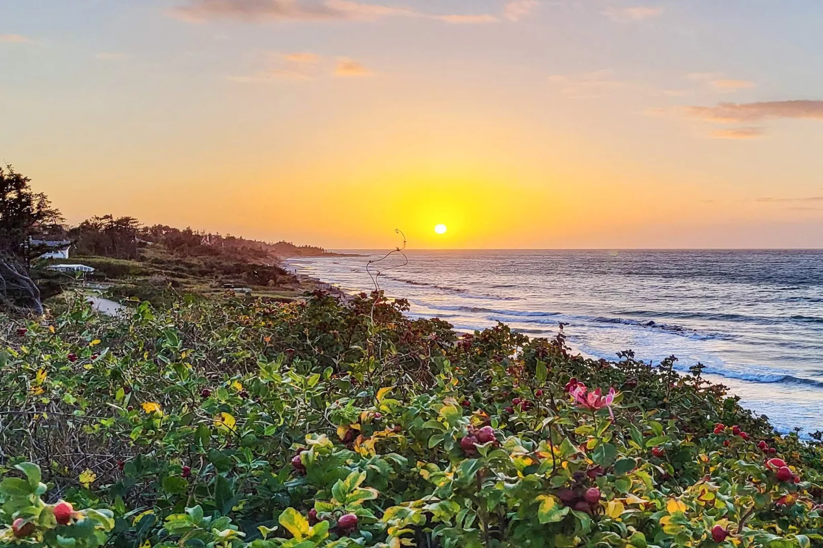 8 persoons vakantie huis in Gilleleje-By Traum-Waterzicht