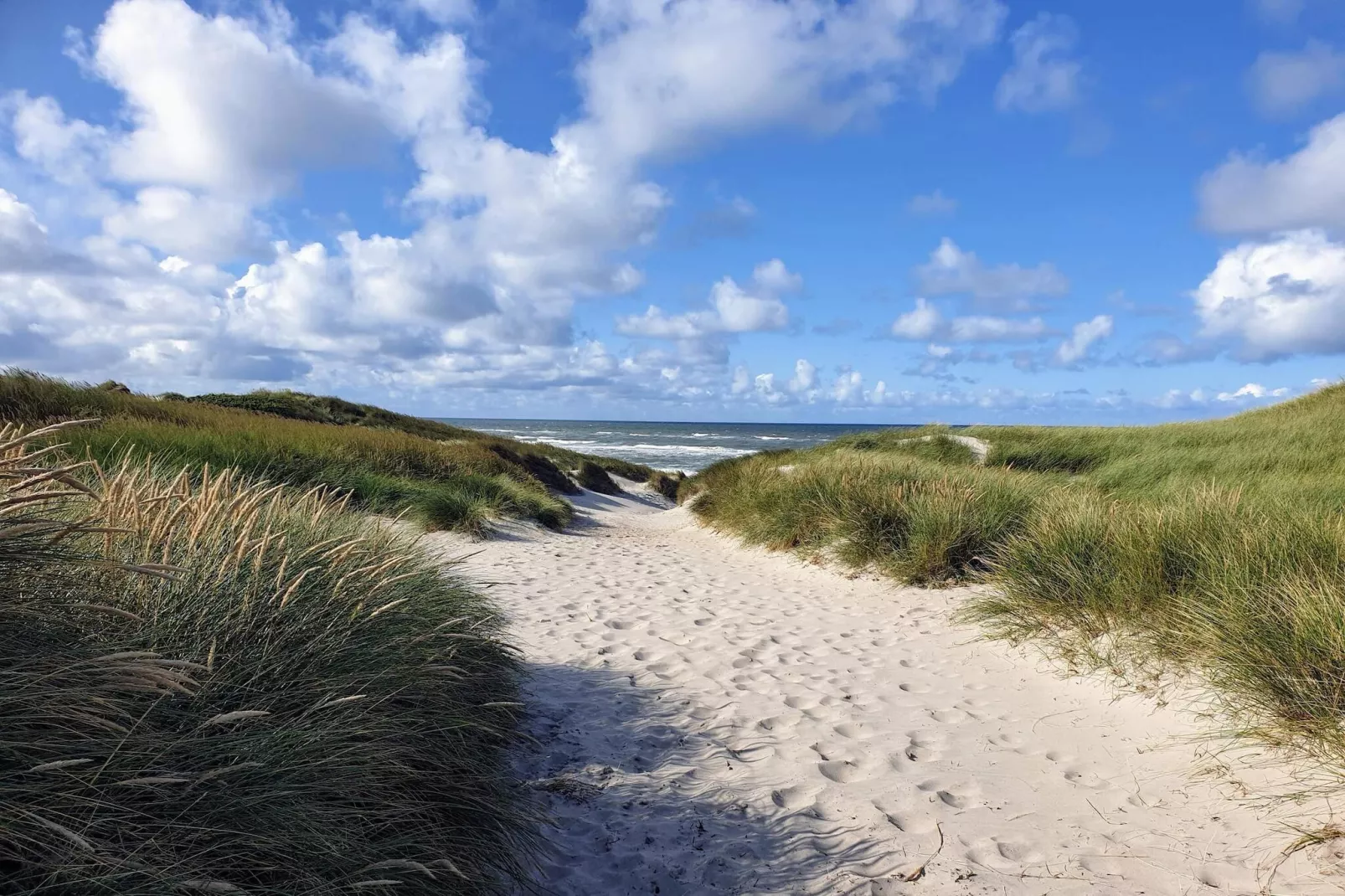 6 persoons vakantie huis in Hvide Sande-By Traum-Niet-getagd