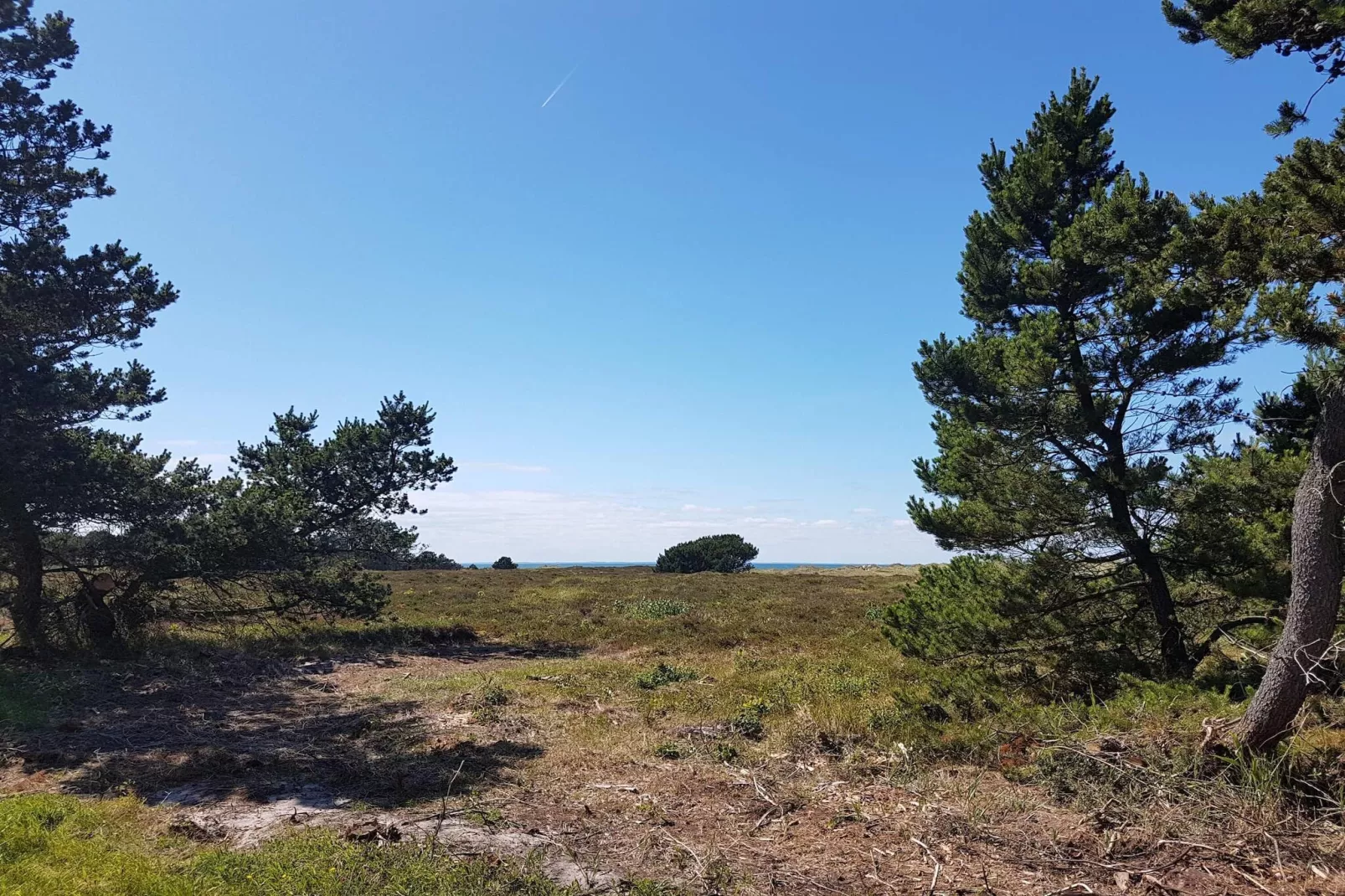 12 persoons vakantie huis in Læsø-By Traum