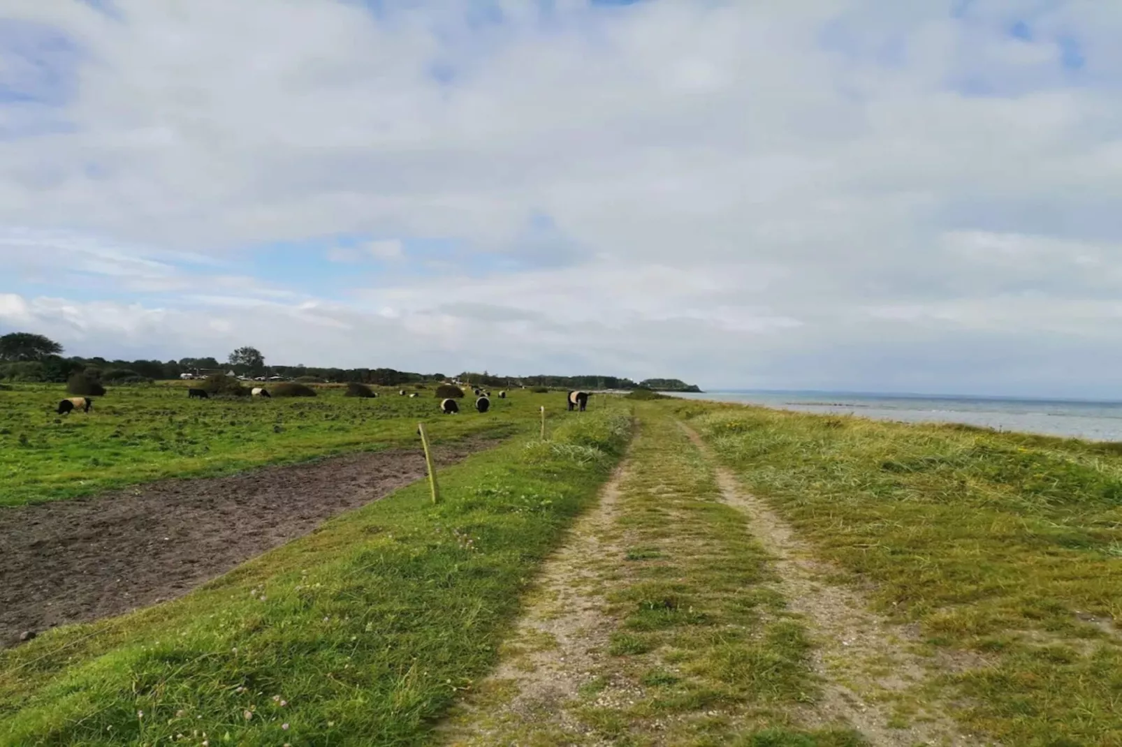 8 persoons vakantie huis in Nordborg-By Traum-Niet-getagd