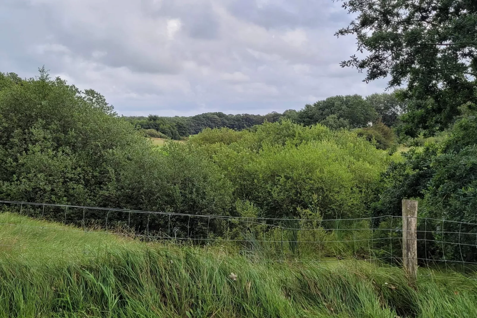 Gezinsuitje in Hovborg -- By Traum Ferienwohnungen-Niet-getagd