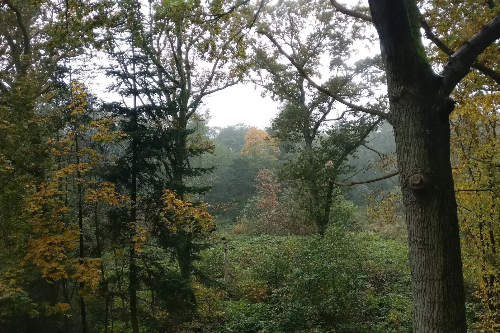 8 persoons vakantie huis in Hadsund-By Traum-Niet-getagd