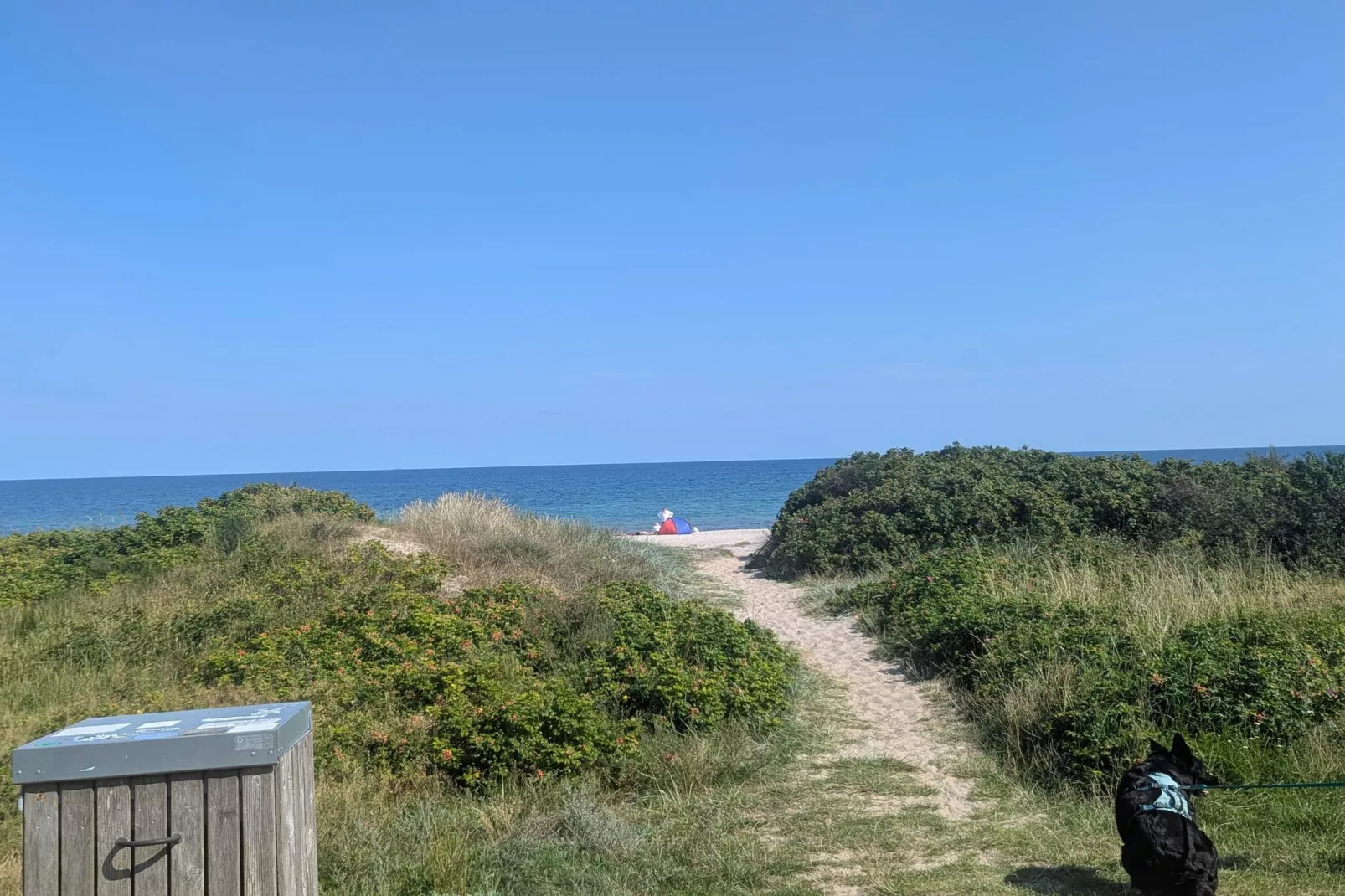 6 persoons vakantie huis in Gedser-By Traum