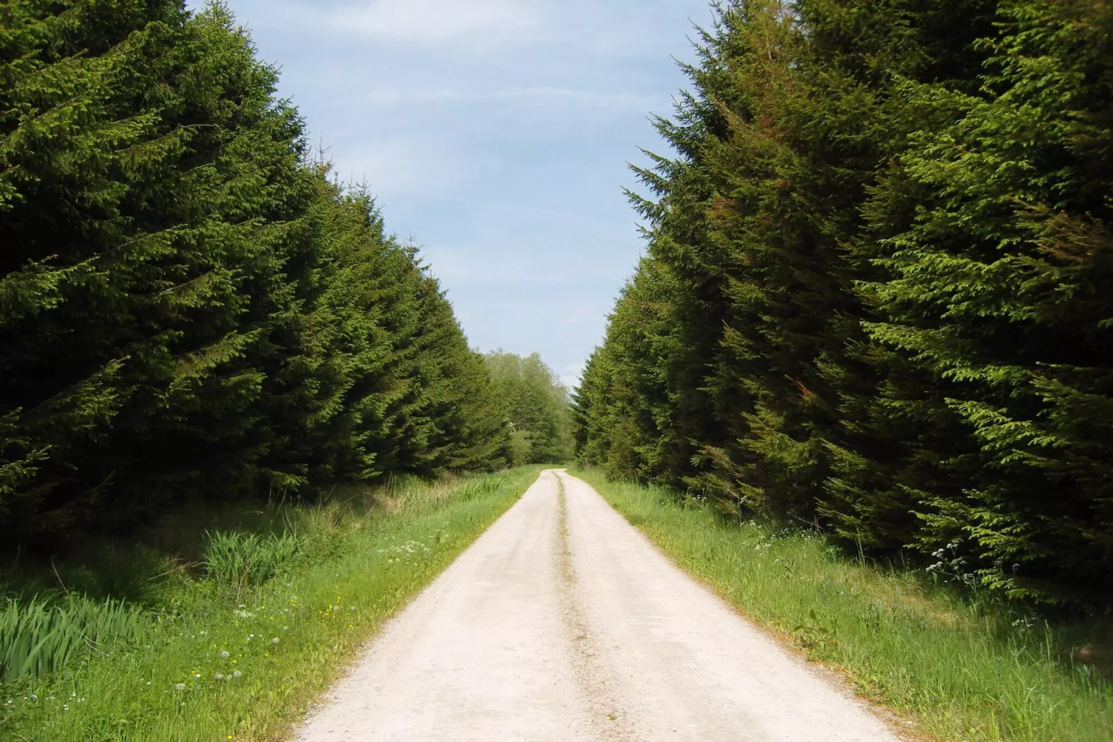 8 persoons vakantie huis in Storvorde-By Traum-Niet-getagd