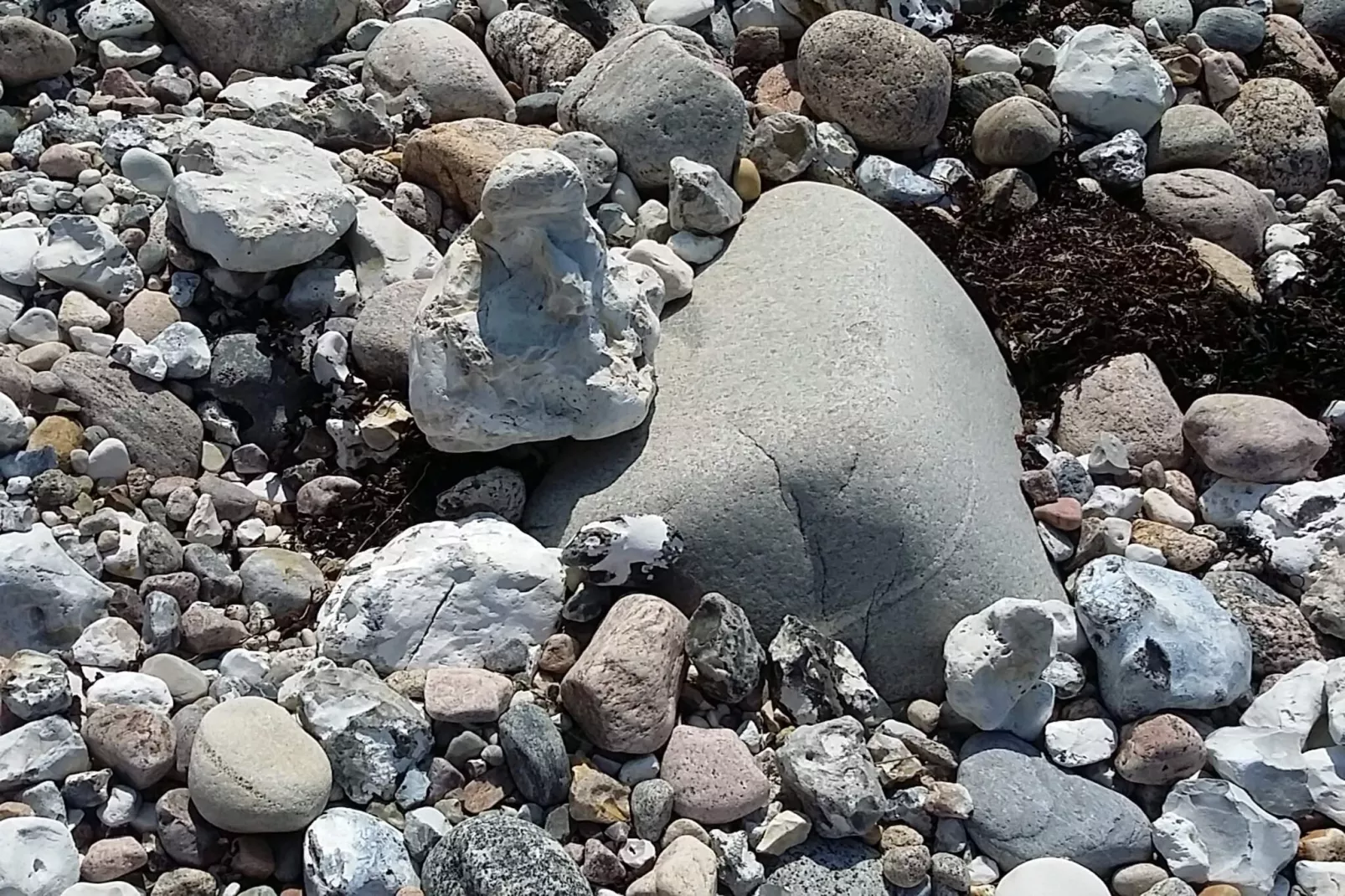 4 persoons vakantie huis in Føllenslev-By Traum