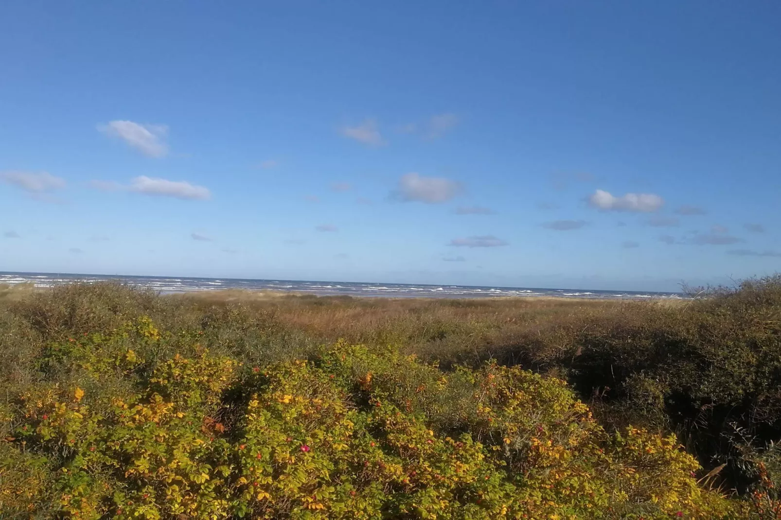 6 persoons vakantie huis in Bindslev-By Traum