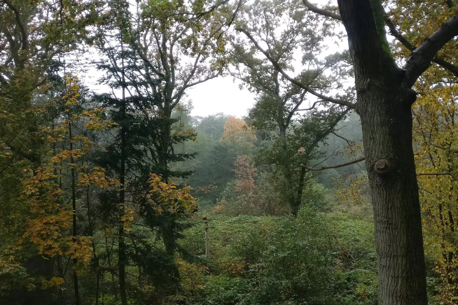 10 persoons vakantie huis in Hadsund-Niet-getagd