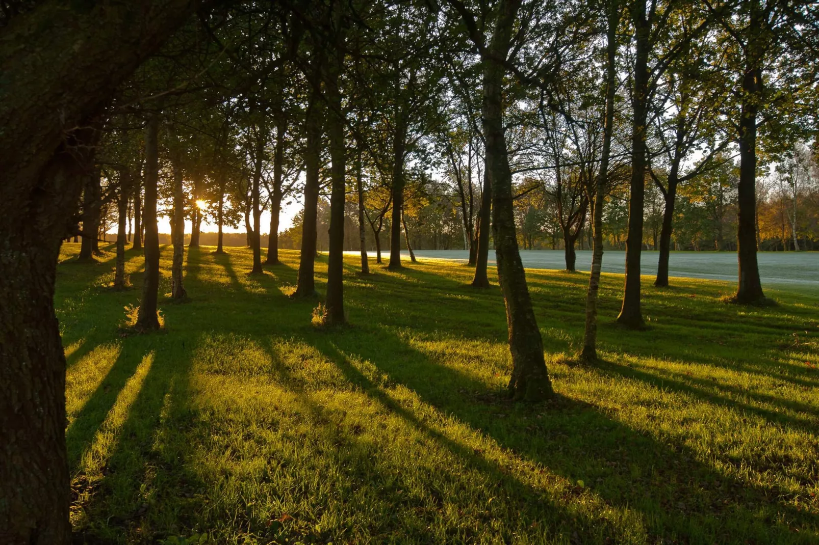 5 persoons vakantie huis in Børkop-By Traum-Niet-getagd