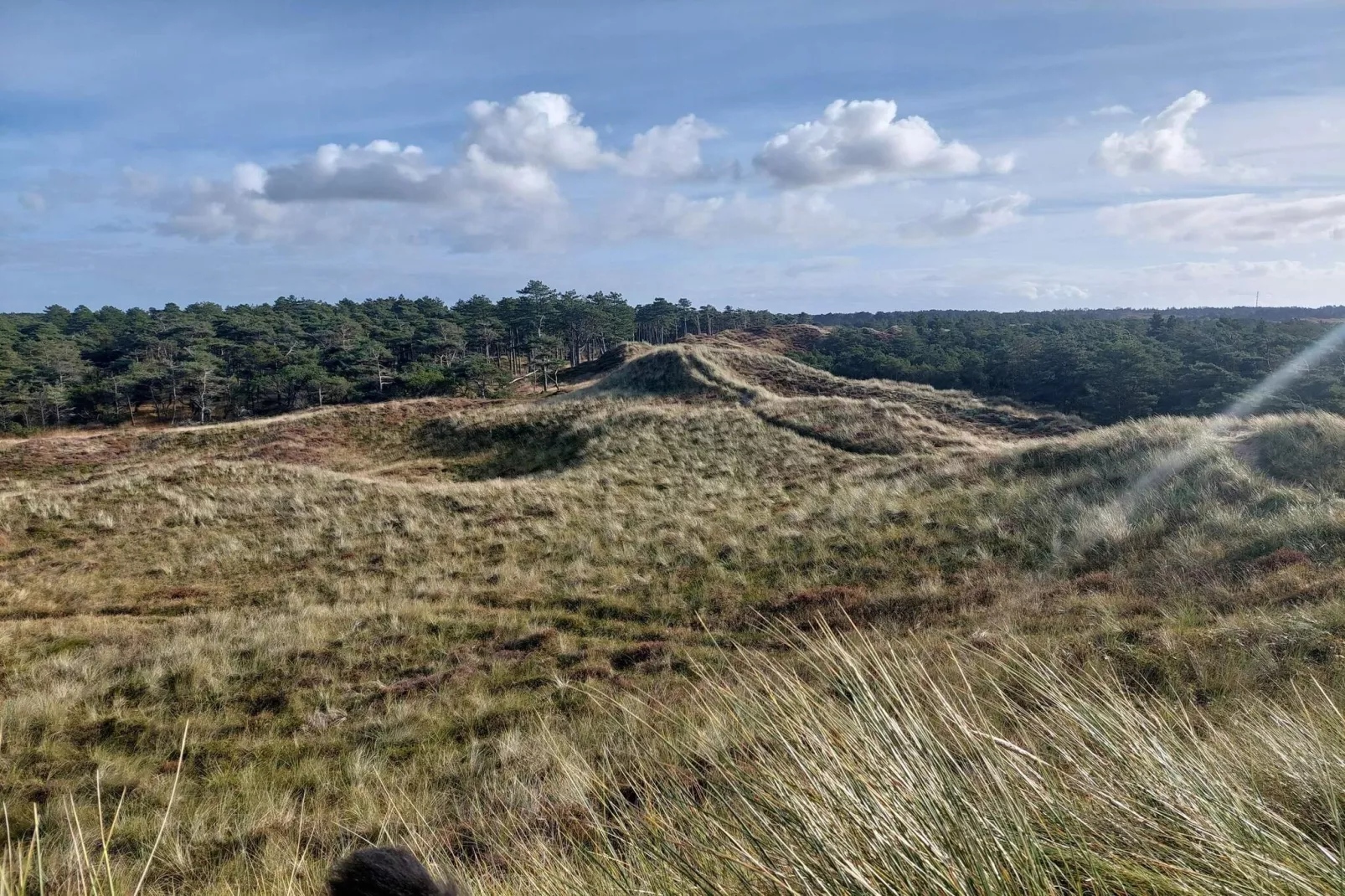 Afgelegen jaren 60 huisje -- By Traum Ferienwohnungen