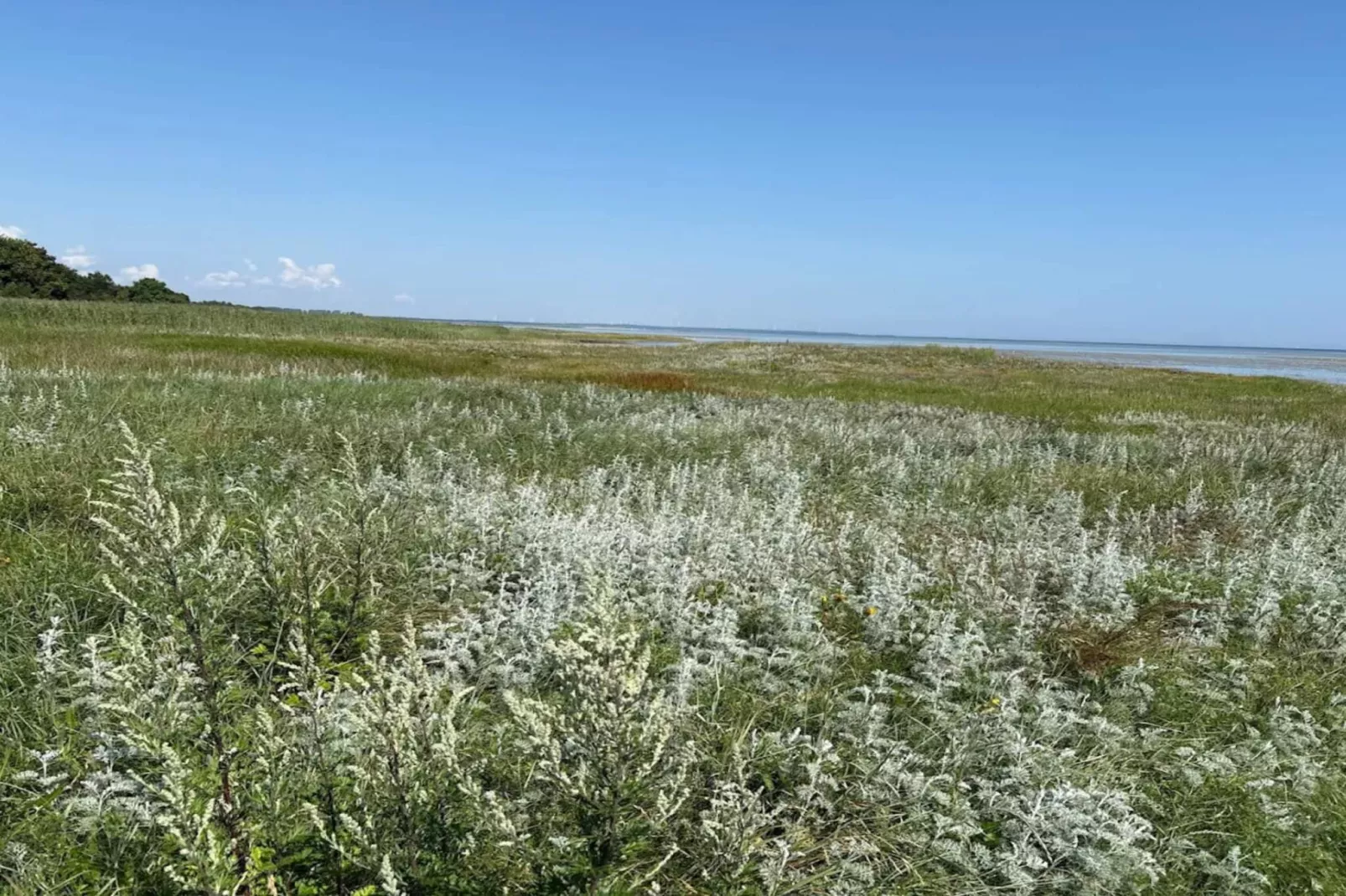 8 persoons vakantie huis in Ørsted-By Traum-Niet-getagd