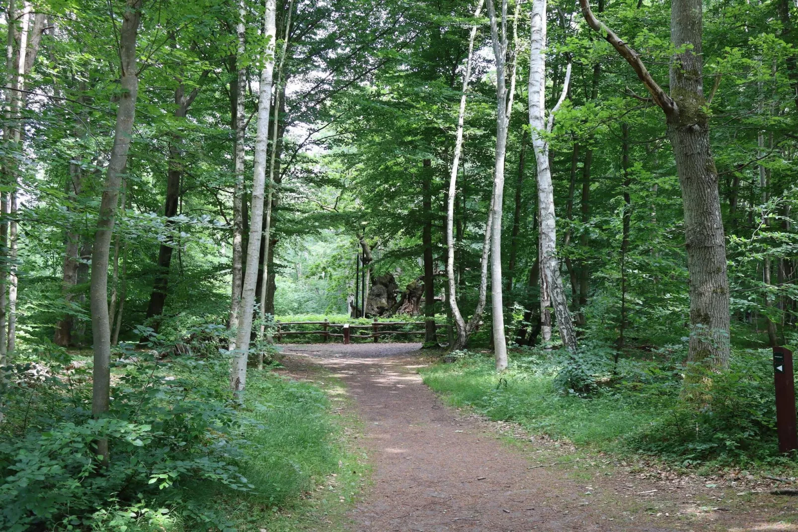 7 persoons vakantie huis in Jægerspris-By Traum-Niet-getagd