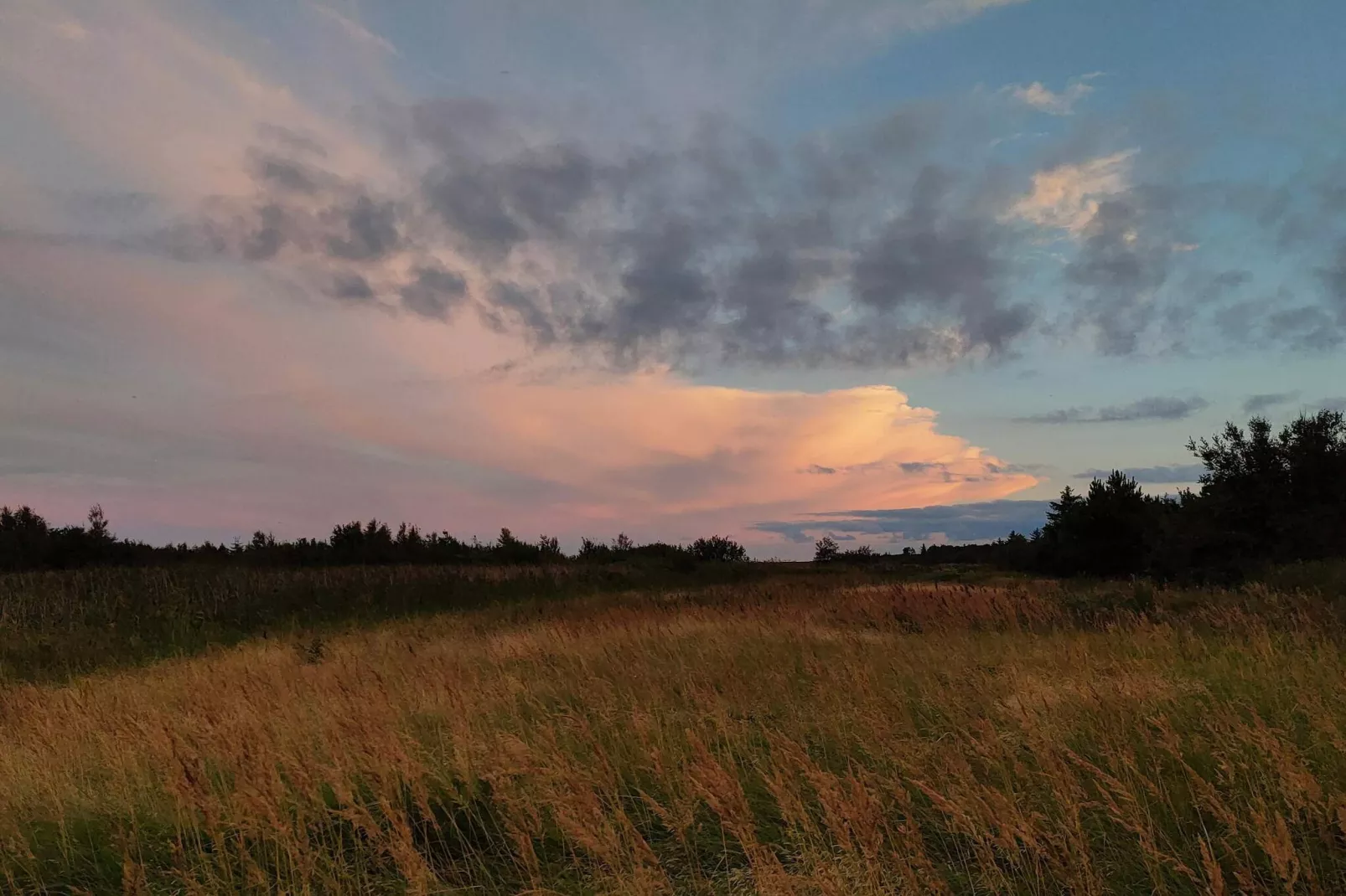 4 persoons vakantie huis in Hals-By Traum-Niet-getagd