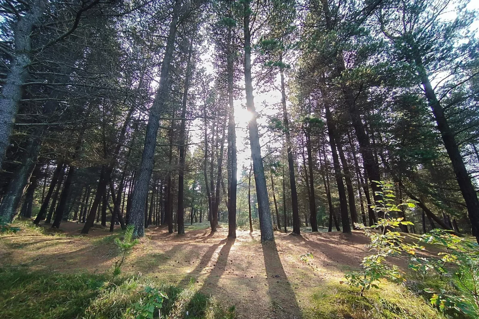 4 persoons vakantie huis in Skagen-By Traum-Niet-getagd