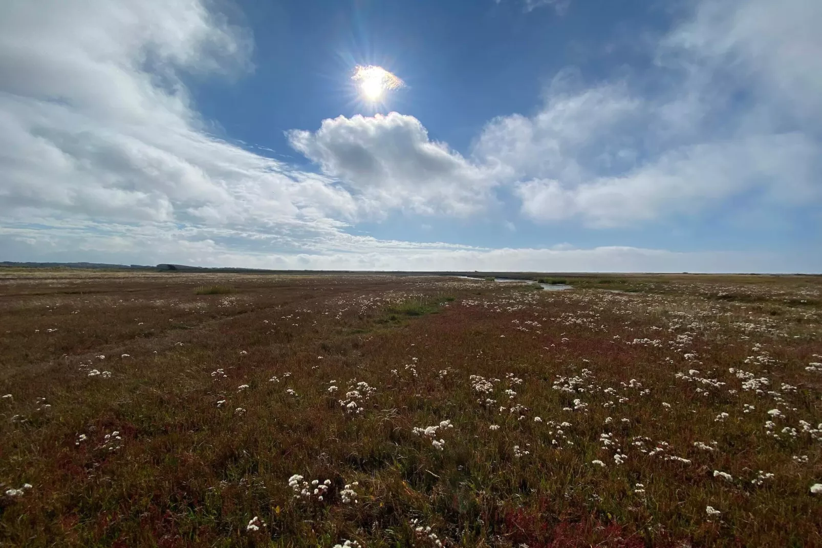 Kust ontsnapping in Laeso -- By Traum Ferienwohnungen-Niet-getagd