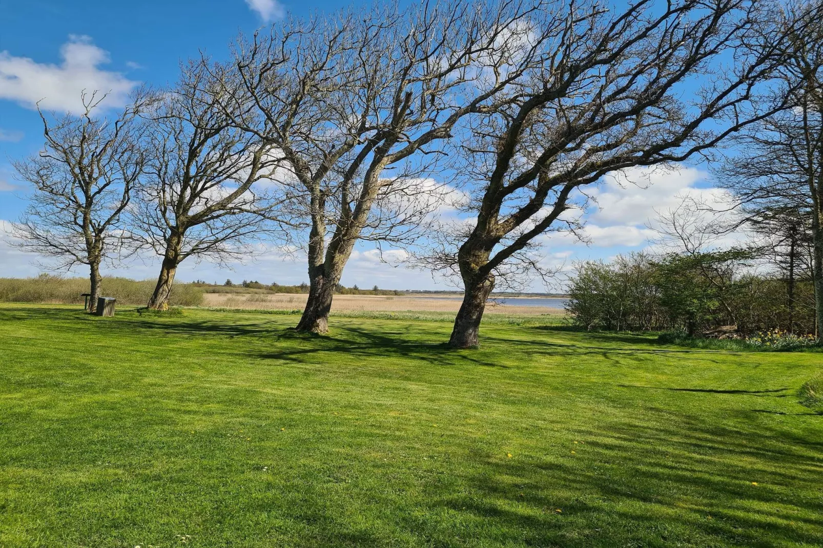 12 persoons vakantie huis in Ulfborg-By Traum-Niet-getagd